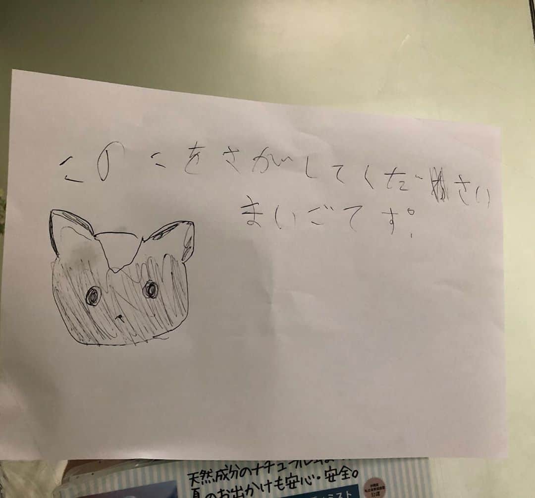イモトアヤコさんのインスタグラム写真 - (イモトアヤコInstagram)「・ #とあるおトイレにあった貼り紙 #早く見つかりますように」6月21日 10時04分 - imotodesse