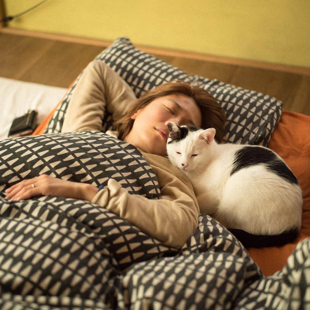 甲斐麻美さんのインスタグラム写真 - (甲斐麻美Instagram)「#猫と寝る それはそれは 幸せな睡眠時間  イチは毎日わたしの横で寝ます😴  毎朝目が覚めたら顔の真前にいるからビックリする… 慣れないもんだよな〜  休みの日には、わたしはイチと好きなだけ寝るのですが(朝活、早起き出来ない人😝) それをhatoに撮られてるのも また 幸せ感じちゃった😌←だはは  #ねことわたし #猫 #猫のいる暮らし #猫との暮らし #元保護猫 #保護猫を家族に #白黒猫 #寝る猫 #夫婦 #husbandphotographer #hatophoto #leica #leicam9」6月21日 10時53分 - kaico_asami