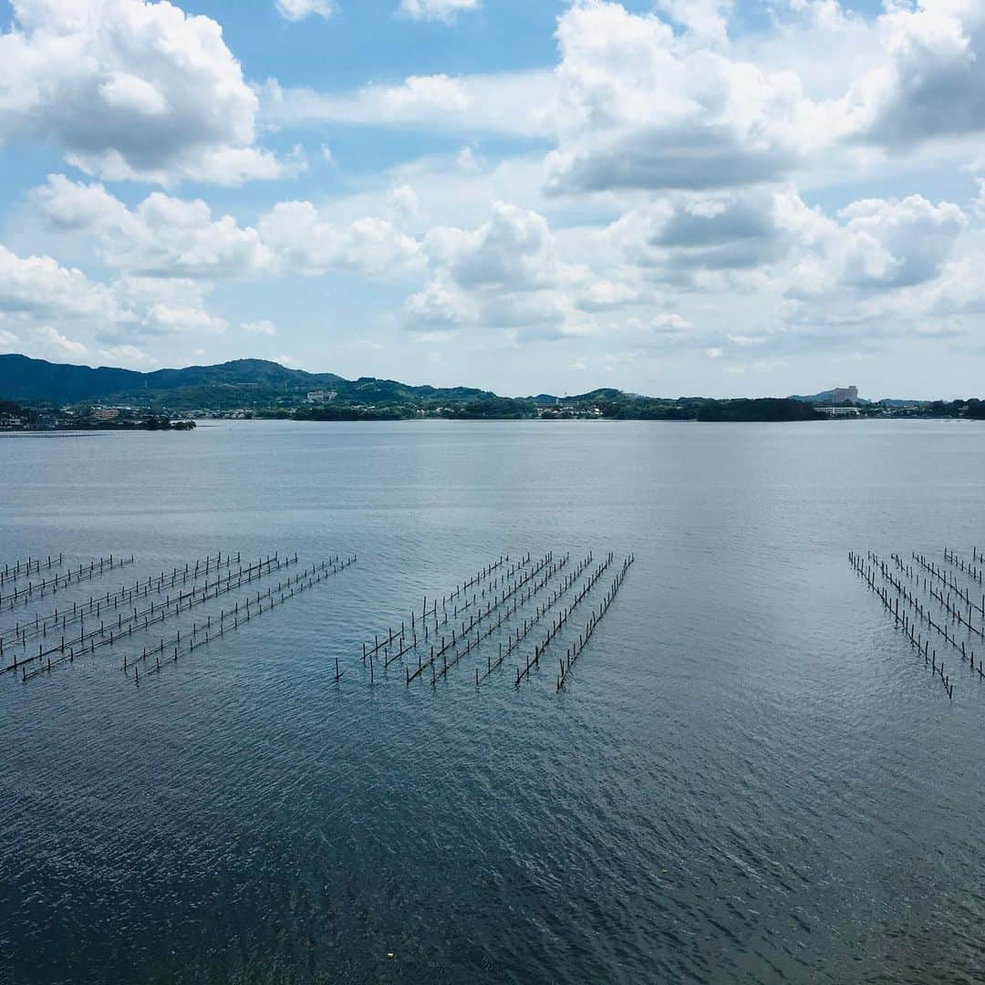 犬小屋??さんのインスタグラム写真 - (犬小屋??Instagram)「良いお天気になって楽しい浜名湖でした😊  #chihuahua  #チワワ #chihuahuastagram  #chihuahualove  #canon  #canon_photos  #チワワのいる生活  #チワワ大好き #cutydog #dogstagram  #チワワ多頭飼い  #ファインダー越しの私の世界  #ドッグラン #浜名湖レークサイドプラザ」6月21日 10時53分 - tiwa1109