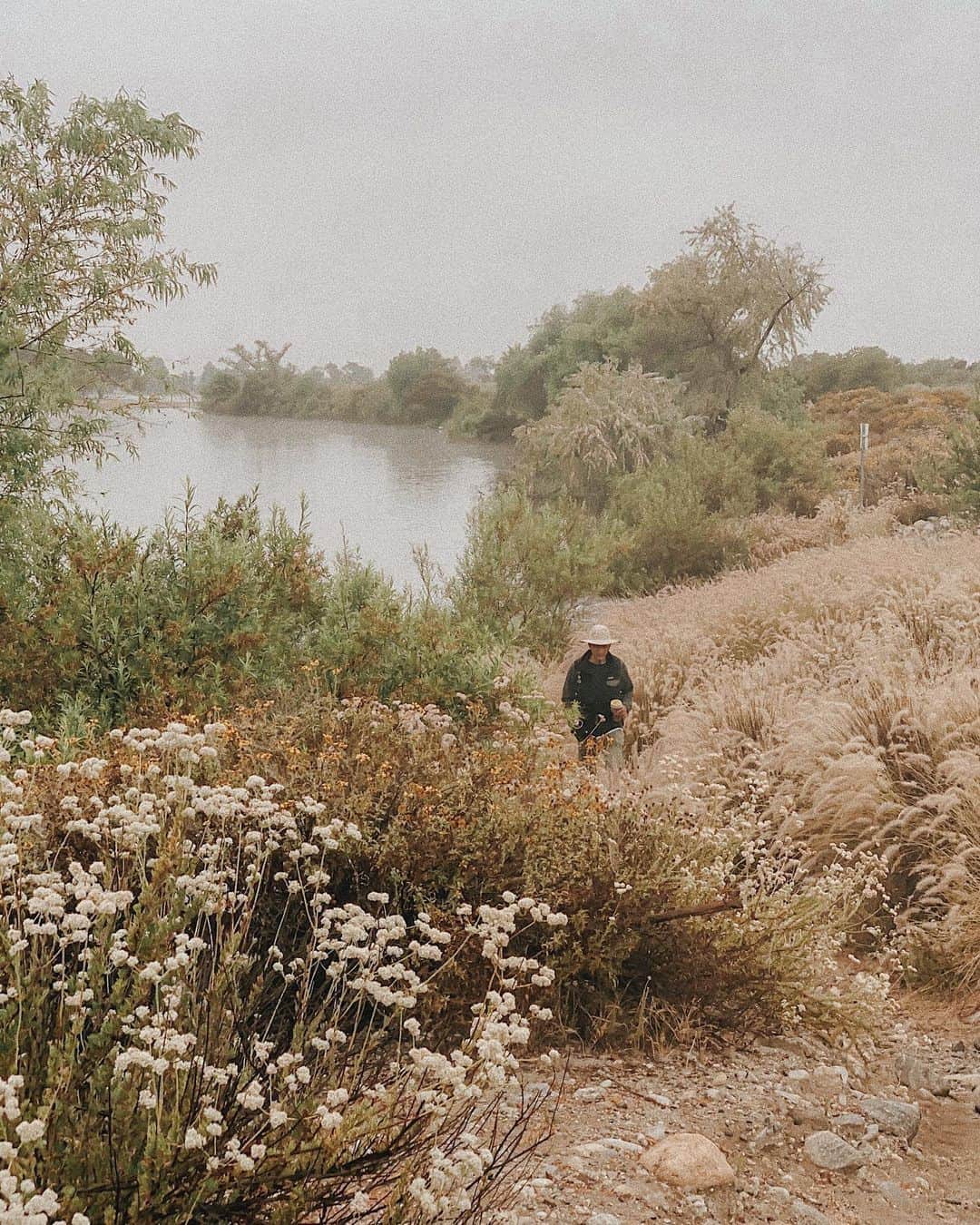 W E Y L I Eのインスタグラム：「Soo...Wah’s new thing is fishing and he wakes me up at 6am to go with him. 🎣 Found this cute spot with lots of blooming wildflowers!」