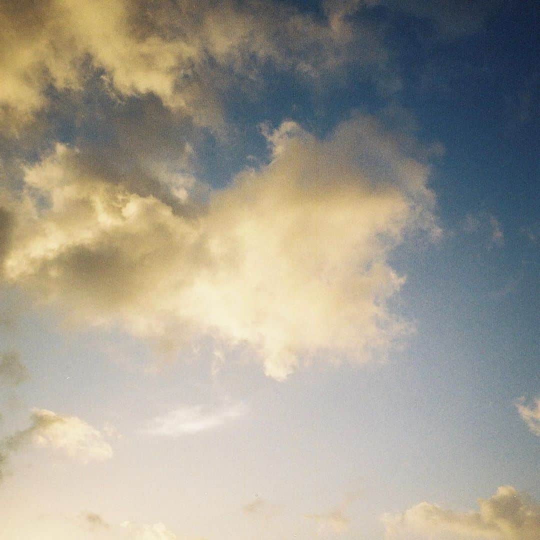 杉咲花さんのインスタグラム写真 - (杉咲花Instagram)「自然のある場所へ行きたいなぁ、と思うことがある。いつだって頭の上には広がっているのに、忘れてしまってる。そんな時にハッとして、思わず撮ってしまいます。空、きれい。」6月21日 11時41分 - hanasugisaki
