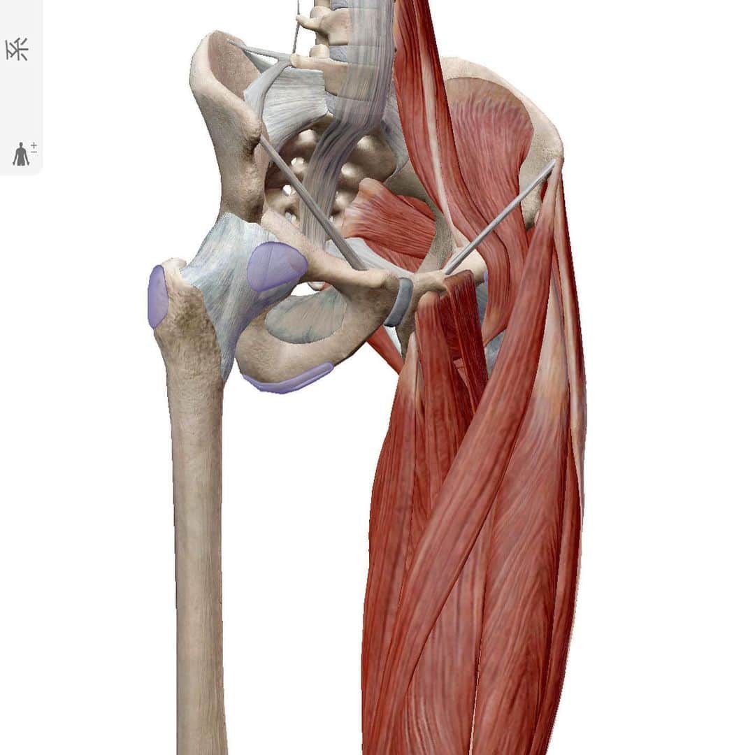 大山大輔さんのインスタグラム写真 - (大山大輔Instagram)「【Mobility Flows】 . "Side Lunge Back Bend" ⬇️ 説明 <対象筋> 『腸腰筋、腹直筋、外腹斜筋、内腹斜筋、肋間筋』 ---------------------------------- 仁王立ちの状態から外に足を踏み出します。踏み出した足と逆足は膝を床に着けて、踏み出した側と同じ側の手を真後ろに向けるように後ろに身体を反らします。(その時に踏み出した足の膝を前に軽く出してみて下さい)(動画参照) ---------------------------------- ＊股関節が固く、可動性を高めたい方 ＊上半身のトレーニング効率を高めたい方 ＊上半身と下半身の滑らかな動きを実現したい方 ＊全身の連動性を向上させたい方 . . #backbend #後屈 #運動能力向上 #身体調整 #ヨガ #ピラティス #カイロプラクティック #運動不足解消 #mobilitytraining #mobilityflows #フィットネス #fitness #健康 #腰痛改善 #腰痛ストレッチ #猫背改善 #姿勢改善 #姿勢改善トレーニング #柔軟性 #柔軟性向上 #可動性向上エクササイズ #見た目重視 #機能性重視 #カッコいい身体作り #動ける身体作り」6月21日 12時04分 - weggy_fitness0704