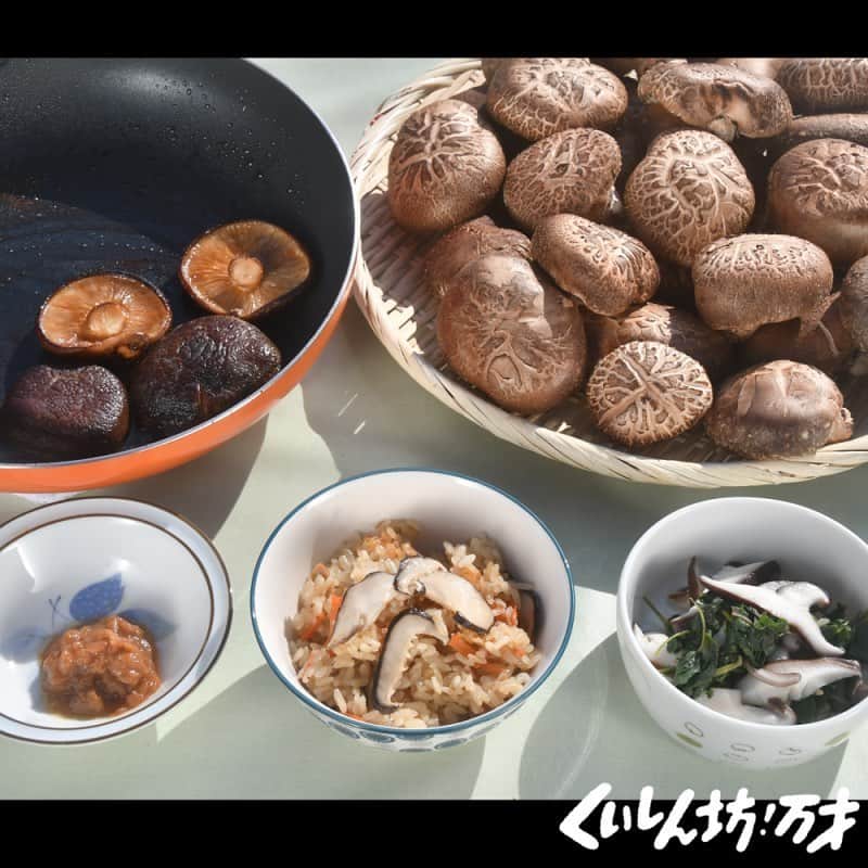 のインスタグラム：「. 熱海の山側にある徳田椎茸園は、家族で原木しいたけを育てています。代々ミカンの栽培農家でしたが、熱海のミカン需要が少なくなったため、長男の勧めを受けてミカン畑を整理し、原木栽培を始めました。 . . 先祖から受け継いできたミカンの木を切ると決めるには相当の覚悟があったそうです。そんな徳田さんのしいたけは肉厚でしっかりと身が詰まっているのが特徴。歯ごたえもしっかりとしていて、一口食べるとしいたけのジュースが溢れてきます。 . . 今回いただいたのは、しいたけのポン酢がけとバター焼き、そして干ししいたけの戻し汁を使った炊き込みご飯です。海を見下ろす絶景の場所で最高のひと時になりました。 . . .  #松岡修造 のくいしん坊！万才#くいしん坊万才 #静岡県#熱海市#原木しいたけ #食べ歩き#おいしい#うまい #キッコーマンの提供でお送りします#フジテレビ #全国制覇#くいしん坊映え#料理#料理動画 #wraptheworld#washoku#Japaneseculture #cooking#eat#Japan#fromjapan#food#meal #traditional#taste#famous」