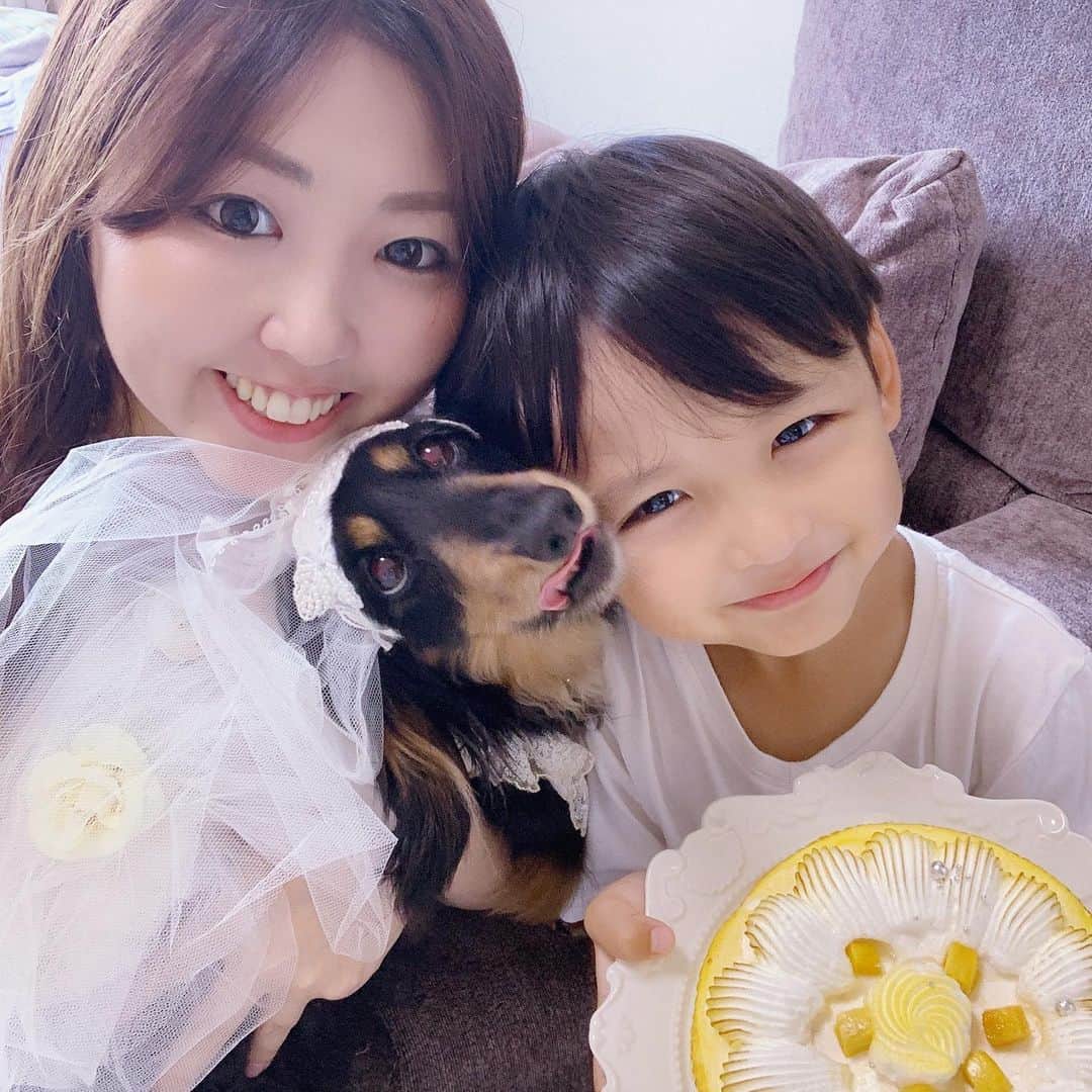 ひかるのインスタグラム：「♡ . 🐶はっぴーばーすでい🐶 🎂チョコ🥳🎉💕✨✨ . . . 6/20 我が家の姫 9歳になりました🐶❤️ . いつもわたしたちを全力で癒してくれる 絶対的存在🐶💗💕💕 . . 病院にも1年に1回春に狂犬病の💉行くくらいで ぜんぜん病気もしなくて元気もりもり無敵girlです🐶 . . いっしょに写ってるクリームの🐶もこちゃんも なんとおなじのお誕生日♡ おめでとう〜🎂💕長生きしようね🐶 . . . 犬用ケーキはオーダー遅れちゃってまだ届かないのでひとまずみんなで @likesweetsbox でお祝い！🥂 ここのケーキほんとに美味しくてsouがばくばく食べます笑🤣 . . . 最後の写真のケーキは2歳の時の犬用♥かわいい似顔絵ケーキなのにもうお店なくなってしまったの残念😔 . . . ☞動画⚠︎フラちゃんはポメ✖️トイプー（mix）です！！！笑笑 . . .  #犬 #ミニチュアダックス #ミニチュアダックスフンド #赤ちゃんと犬  #愛犬家」