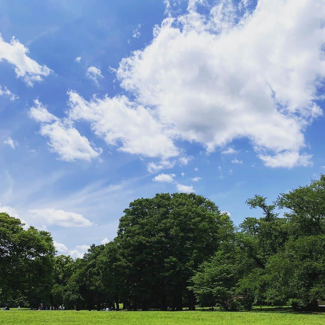 坂東亀三郎さんのインスタグラム写真 - (坂東亀三郎Instagram)「こんにちんとんしゃん！﻿ ﻿ ﻿ ﻿ ヒナタボッコした。﻿ ﻿ こんな状況だと﻿ 病みと闇が増殖していくけど﻿ 陽に当たったらなんかどうでも良くなった。﻿ ﻿ ﻿ ﻿ ﻿ 林部智史 / 晴れた日に、空を見上げて﻿ ﻿ 晴れた日に空を見上げる﻿ それだけのことで﻿ 幸せになれる﻿ 今さら思い出したよ﻿ ﻿ ﻿ ﻿ ﻿ って感じ。﻿ ﻿ ﻿ ﻿ ﻿ #歌舞伎 #音羽屋 #歌舞伎役者﻿ #彦三郎 #坂東彦三郎 #九代目﻿ #歌舞伎部 #otowayabando﻿ #歌舞伎大好き #KABUKI﻿ コメントはお気軽に📝﻿ ランダムに返信しまっせ✍️﻿ ﻿ ﻿ ﻿」6月21日 12時06分 - otowayabando