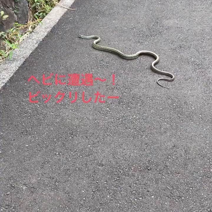 小川知子のインスタグラム