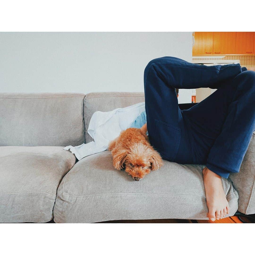 紗栄子さんのインスタグラム写真 - (紗栄子Instagram)「お休みBoys.🌙✴︎」6月21日 23時59分 - saekoofficial