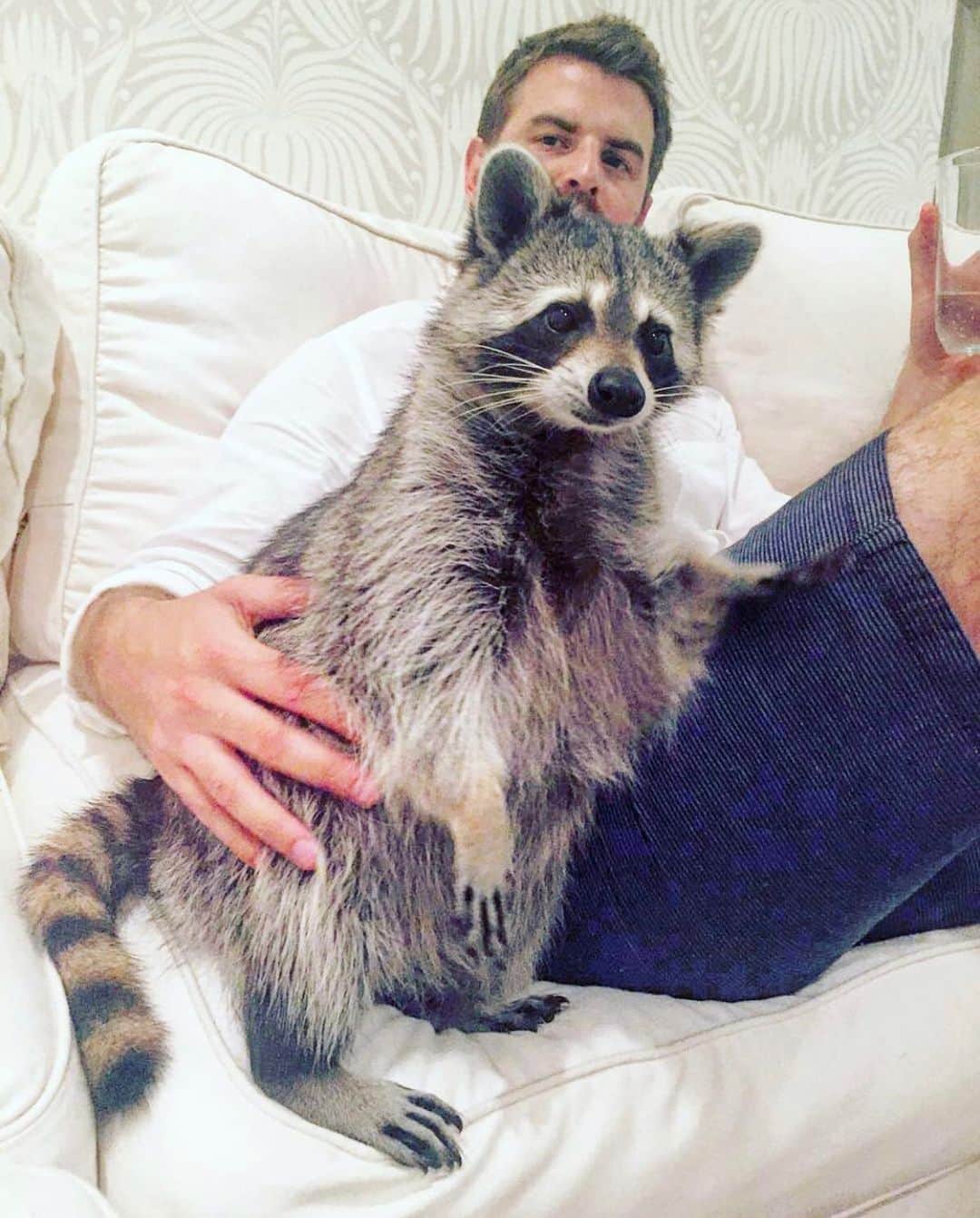 のインスタグラム：「This man right here is pretty special. He didn’t flinch when I told him about two pups that we needed to go back for that I had seen on the side of the road in bad shape, and didn’t put up a fight when a little raccoon came along in need of some love and attention. Now he is the hero of our two little girls and doesn’t complain that he’s the only man in the house, or argue when the toddler wants to paint his toes. Today can be hard for some so I am sending you extra love and hugs. Whoever you are closest to today give them a squeeze. Peace and Love, Team Pumps xox #fathersday #dad #love」