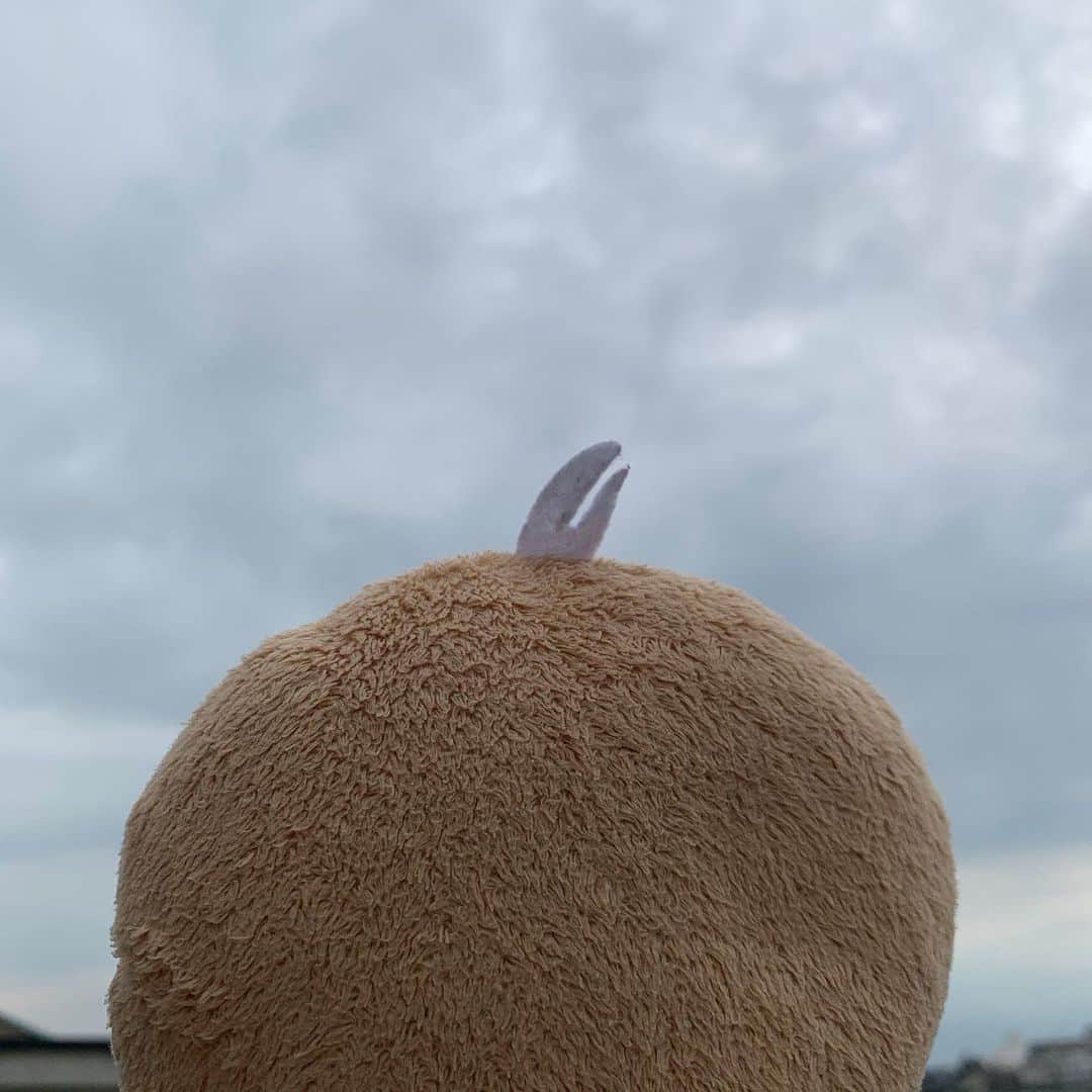 江口ともみさんのインスタグラム写真 - (江口ともみInstagram)「もぐろうだよ✨今日は部分日食なんだってー  16時頃から始まって17時から17時15分が最大の見頃らしいよ  ミレアちゃんに貰った日食グラスで待ってるんだけどさぁ。。。 この空じゃ難しいかなぁ💦  日本全国で見えるのって次は10年後らしいよー  #部分日食#日食グラス #fumofumosan #フモフモさん  #もぐろう#vixen @milleagram」6月21日 15時51分 - tomomin.eguchi