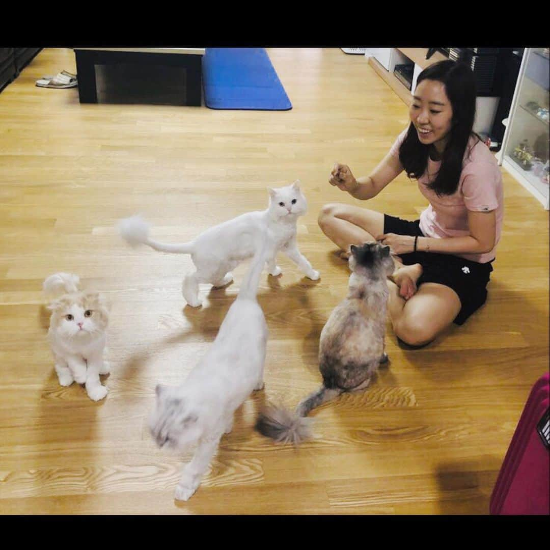 梁夏銀のインスタグラム：「간식시간 🐱🐾 . . . 고양이 집사의 하루 ☻」