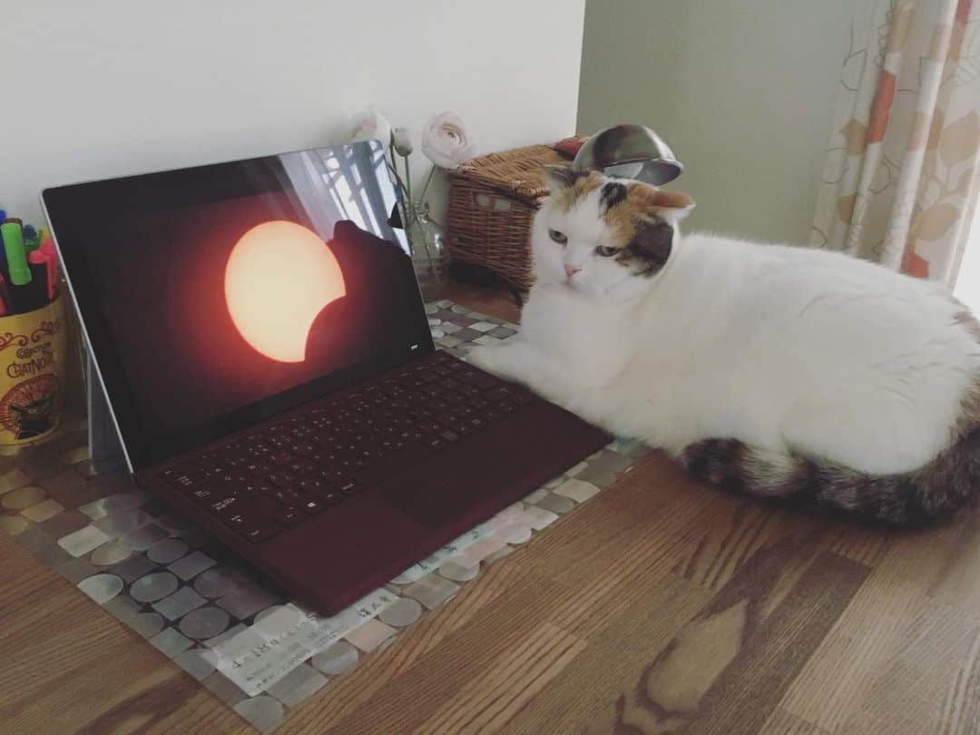 ありす & まりあのインスタグラム：「Solar eclipse 🌖 夏至パワーきてるにゃ」