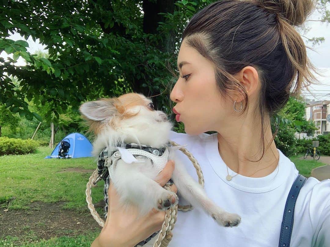 のインスタグラム：「. . 😗💔 . #お散歩 #公園大好き #愛犬 #自然パワー #緑の匂い好き」