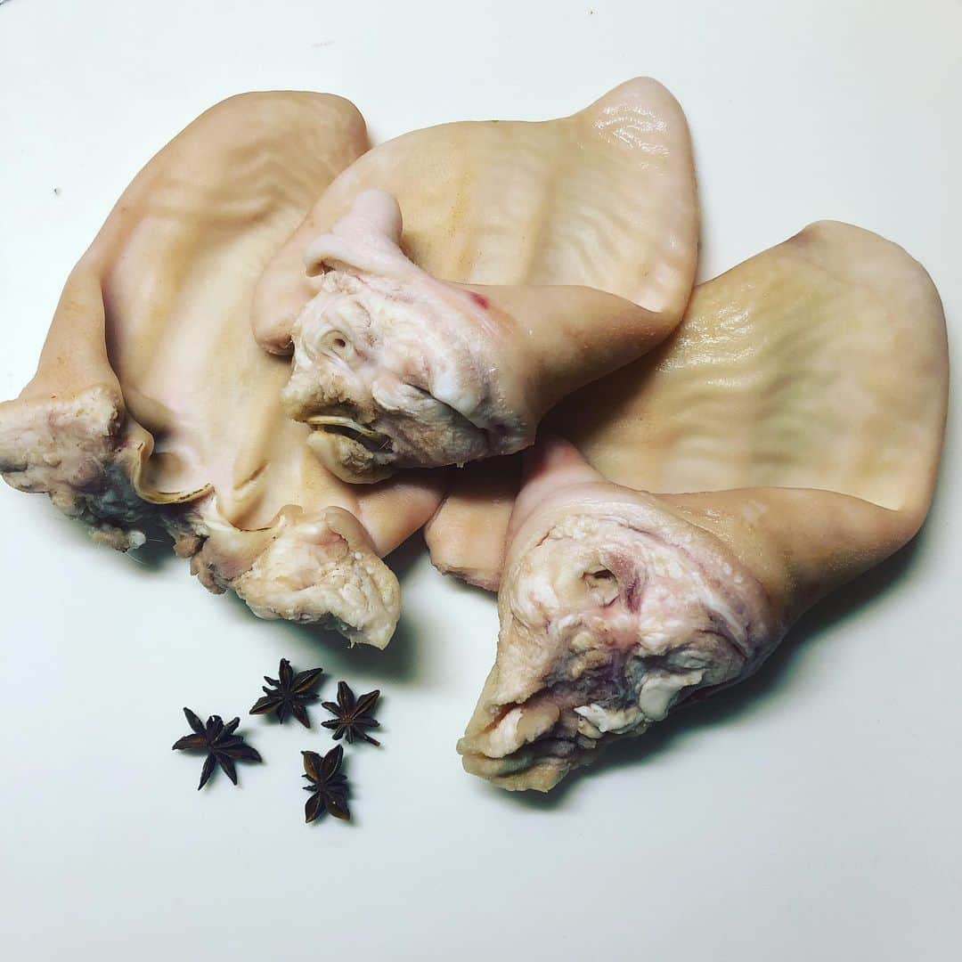 瑛蓮さんのインスタグラム写真 - (瑛蓮Instagram)「丁度冷凍庫に豚の耳があったので、丁度食べたいと思っていたホンソーツニドゥを作りました。 食べたいときに食べたいものを食べることを、出来るだけやってます。  #瑛蓮 #猪耳朵」6月21日 17時01分 - elen_official_422