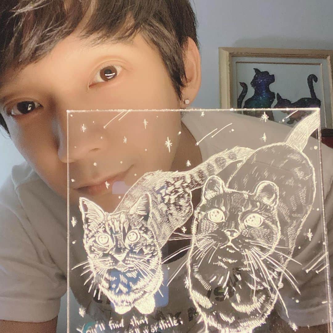 のインスタグラム：「“You'll find that life is still worth while, if you just smile.” （ただ笑ってさえいれば、人生は生きる価値がまだあるということが分かるだろう。） ツイキャスのお礼にこのような写真を送ってます☆いつも皆様ありがとうございます☆  ツイキャス本日も・・・ #Smile #スマイル　#笑顔　#辻本祐樹　#ツイキャス見てね」