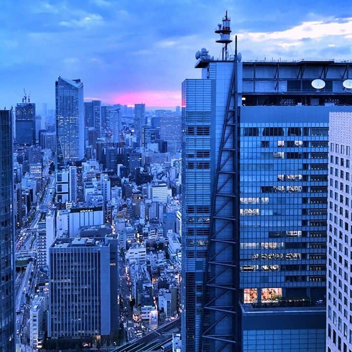 Conrad Tokyoのインスタグラム：「シティービューのマジックアワー。 Beautiful magic hour from the hotel. 📸 by @adambruzzonephotography」
