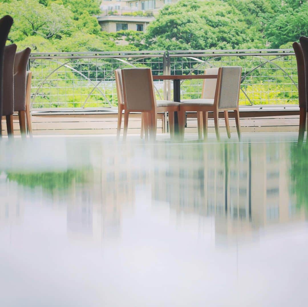 八芳園さんのインスタグラム写真 - (八芳園Instagram)「. . Thrush Caféに大島の牛乳を使用した パンナコッタとクロワッサンが新登場！ . . 季節と自然を感じられる開放的な空間で、 お食事をお愉しみいただけるThrush Café。 . Thrush Café では6月20日(土)より、 . 「大島牛乳で作ったパンナコッタ パインと有機ミントのジュレ」 「大島の恵み Nipponのクロワッサン」 . の販売を開始いたします。 . コロナ流行の影響で牛乳が余っているという 伊豆大島の酪農家を応援したいという思いから、 5月30日よりスタートした BLUE TREEのクロワッサンの通信販売。 . Thrush Caféの店内でも、 「大島の恵み Nipponのクロワッサン」を お召し上がりいただけるようになりました。 . また、 この度八芳園の青木シェフが新しく作り上げたのが、 「大島牛乳で作ったパンナコッタ パインと有機ミントのジュレ」。 . 大島牛乳の素材そのものの甘みを感じられ、 そこに添えられたミントとパインのジュレの 爽やかな風味が、この季節にぴったりのデザートです。 . 大島の味わい深い素材を使用したこちらの二品。 . Thrush Caféの店内やテラスはもちろん 庭園の一部でもお召し上がりいただけます。 . 緑に囲まれて爽やかな風を浴びながら、 心やすらぐひとときをお過ごしください。 .  皆さまのお越しを心よりお待ちしております。 . ■Thrush Café https://www.happo-en.com/restaurant/thrushcafe/ . 営業時間：11:00〜17:00 お問い合わせ；八芳園レストラン TEL. 03-3443-3105（ 受付時間 11:00 ～ 19:00 ） . . #八芳園 #結婚式 #結婚式場 #thrushcafe #スラッシュカフェ . #大島牛乳　#伊豆大島 #クロワッサン　#パンナコッタ #🐄　#🥐　#🍍 . #営業再開 #レストラン  #lunchbox #ランチ #cafe #カフェ　#テラス席 #テラス　#デザート . #白金台カフェ #シロガネーゼ . #日本庭園　#japanesegarden #庭園　#白金台　#港区 . #新緑　#ピクニックランチ」6月21日 18時43分 - happoen