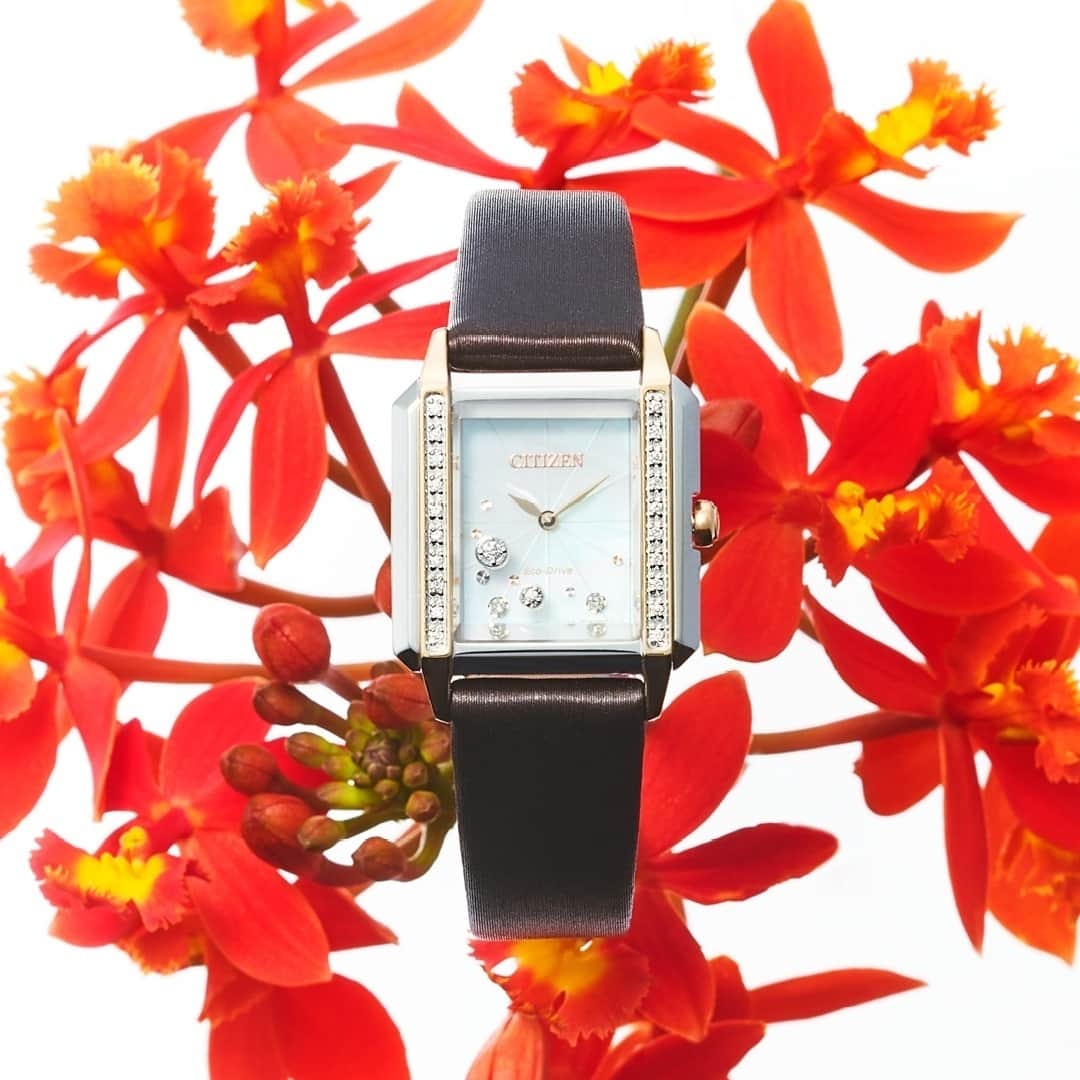 citizenlwatchのインスタグラム