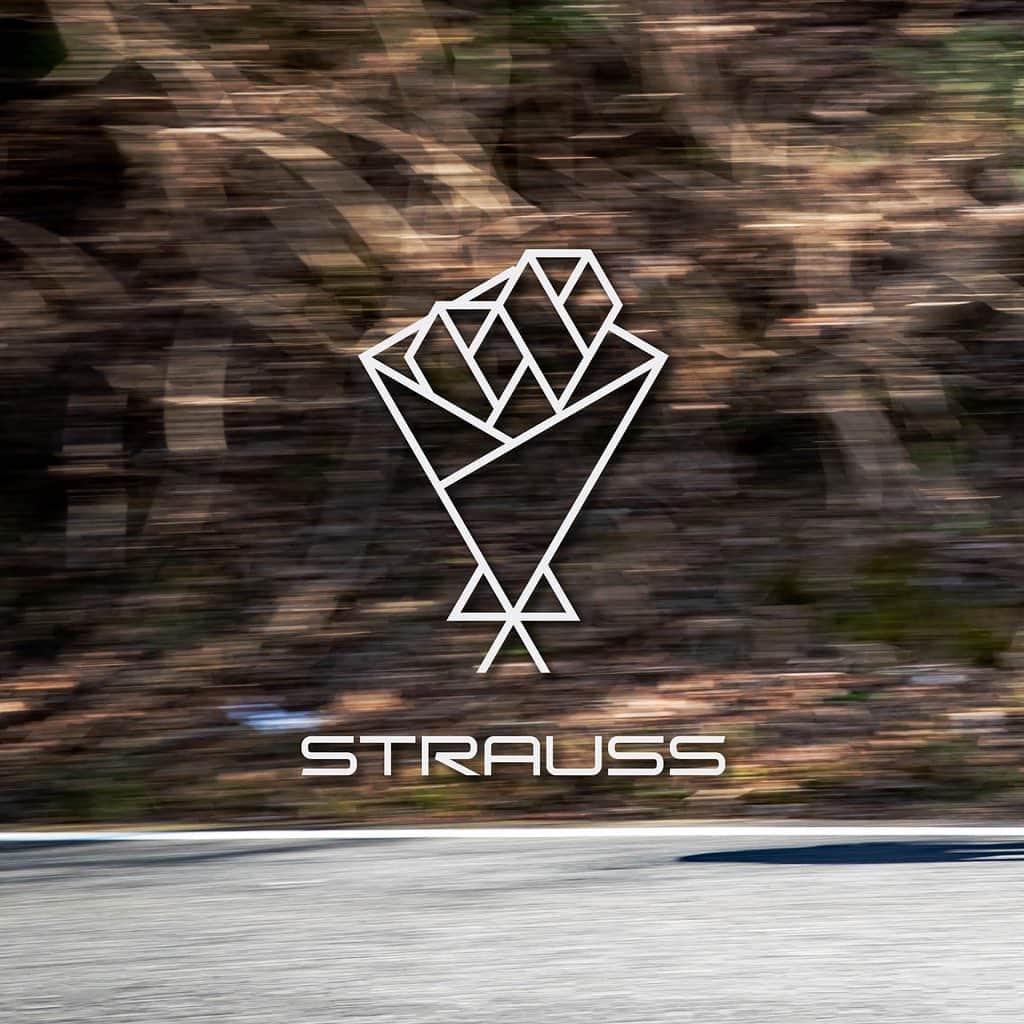KhodaaBloomのインスタグラム：「ロードバイクの新しいフラッグシップ"STRAUSS PRO DISC フレームセット"新発売﻿ ﻿ KhodaaBloomは、ディスクブレーキ仕様のレーシングロードバイク「STRAUSS PRO DISC FrameSet (ストラウスプロディスクフレームセット)」を発売いたしました。﻿ ﻿ STRAUSSとはドイツ語で花束を意味する言葉で、KhodaaBloom の粋を集めたシリーズとして新たに登場しました。STRAUSS PRO DISCはトータルバランスを追求したレーシングディスクロードバイクです。﻿ ﻿ フレームは航空機にも使用されるT-800カーボンをメインに使用し、上下異径ヘッドや前後スルーアクスル、プレスフィットBB、フラットマウントディスクブレーキといった現代ロードバイクのトレンド規格を採用しました。強いペダリングに負けない剛性を確保しながらシートステーの扁平形状によって快適性も併せ持っています。﻿ ﻿ これまでのKhodaaBloomレーシングロードバイクの特長を受け継いだレースの最後まで脚を残せるバイクに仕上がっています。﻿ ﻿ フレーム色のオーロラブルーは見る角度によって色を変える偏光塗料を使用しました。それにより奥深く、気品のあるカラーデザインとなっています。﻿ ﻿ ————————————﻿ ☑️STRAUSS PRO DISC FrameSet﻿ (ストラウスプロディスク フレームセット)﻿ 価格　￥248,000+税﻿ カラー　オーロラブルー﻿ 重量﻿ フレーム　1,065g(480mm)﻿ フォーク　435g(480mm)﻿ サイズ(適応身長)﻿ 480mm（160-175cm）﻿ 510mm（170-185cm）﻿ 540mm（175-190cm）﻿ ————————————﻿ ﻿ #KhodaaBloom #STRAUSS #straussprodisc」