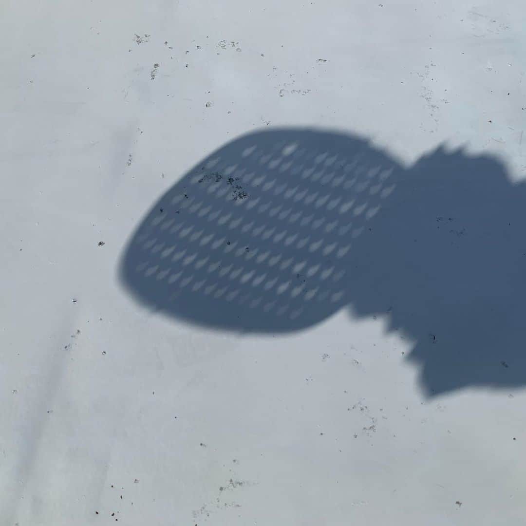 大隅智子さんのインスタグラム写真 - (大隅智子Instagram)「盛岡でも部分日食が見られました。 急遽、ざるを使ってみました。 16時55分、欠けた太陽がなんとか映ってました。 #部分日食　#岩手　#盛岡」6月21日 19時32分 - tomokotenki