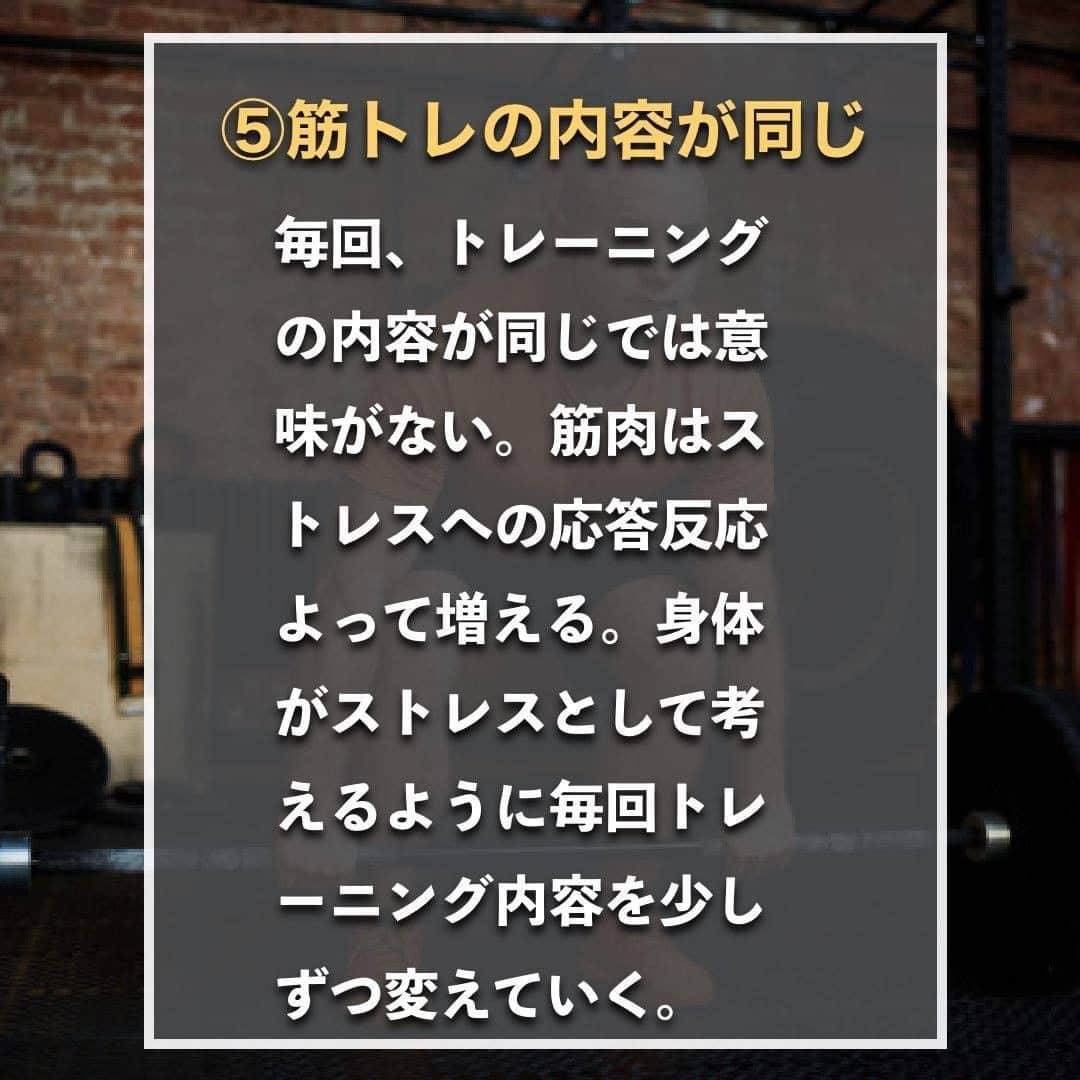 山本義徳さんのインスタグラム写真 - (山本義徳Instagram)「【筋トレ効果を無駄にする5つのこと】  トレーニングを毎日一生懸命頑張られている方 もしかしたら、あることがそのトレーニングを無駄にしてしまうかもしれません 筋トレ効果を無駄にする5つのことについて山本義徳先生が解説。  是非トレーニングの参考にしていただけたらと思います💪  #筋トレ #筋肉 #エクササイズ #バルクアップ #筋トレ初心者 #筋トレ男子 #ボディビル #肉体改造 #ダイエット方法 #筋トレ好きと繋がりたい #筋トレ好き #トレーニング好きと繋がりたい #トレーニング男子 #ダイエット効果 #トレーニー女子と繋がりたい #ボディビルダー #筋スタグラム #筋肉男子 #筋肉つけたい #トレーニング大好き #トレーニング初心者 #トレーニーと繋がりたい #筋肉トレーニング #トレーニング仲間 #山本義徳  #筋肉担当 #筋肉増量 #筋肉作り #筋肉増量 #筋肉大好き」6月21日 20時00分 - valx_kintoredaigaku