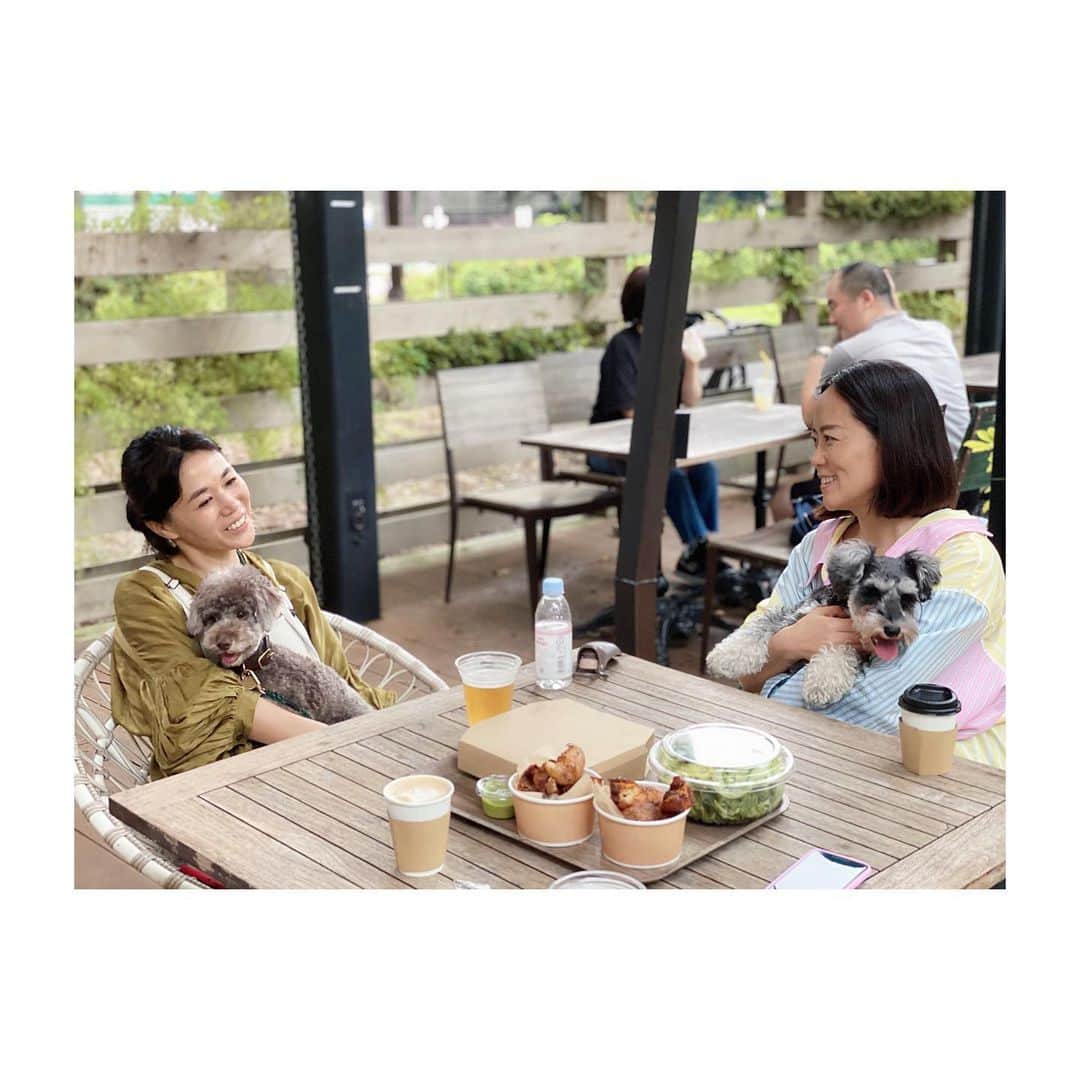 HiRAO INCのインスタグラム：「. ダンとソラ  あってきたよー　ダン💕 あっという間にソラとも仲良し サイドウォークも上手！ かずちゃんママに抱っこされて 幸せいっぱいのダン かずちゃんちにきて、まだ3日目 すっかり馴染んで　 早坂ダンくんになってました。  ひと安心 ほーんと、よかったね  それにしても ソラは安定のコロコロ✨ . #mutsulannsora」