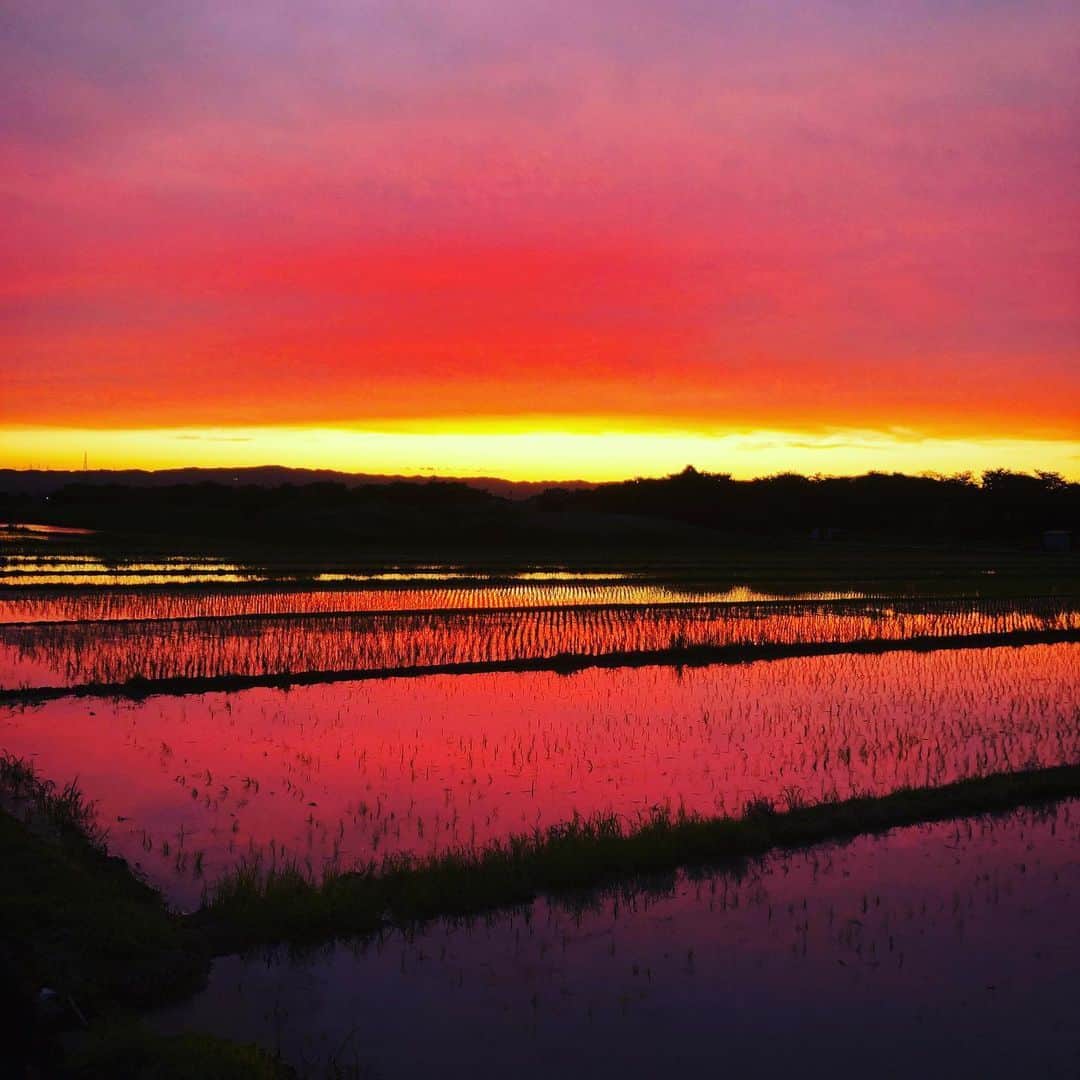 秋田慎治さんのインスタグラム写真 - (秋田慎治Instagram)「夏至、7時半の写真。 この美しさをどうやっても写真には撮れませんでした。実際の色は全然違ってて。 自然ってとてつもなく素晴らしい。」6月21日 20時19分 - _shinjiakita_