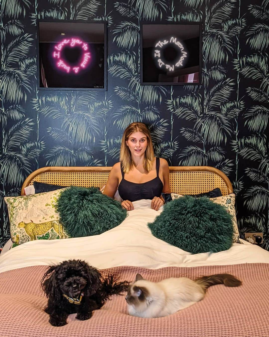 Ashley Jamesさんのインスタグラム写真 - (Ashley JamesInstagram)「Sunday mornings with the gang. 💗🐩🐈 I talked about this on stories a while ago, but I just wanted to talk about my sleep bra! One of the non-sexy realities of having big boobs, is that they can really hurt or keep you awake at night. I bought this sleep bra from @lovebravissimo a few weeks ago, and it's honestly been a game changer! It's so comfortable I've been wearing it in the day too. 👙」6月21日 20時44分 - ashleylouisejames