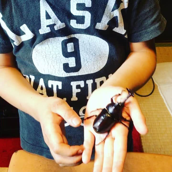 のインスタグラム：「幼虫から育ててるカブトムシ達か続々とデビューしてきてる近頃。  夏はもうすぐやね。  昨日の鎌倉spiral20周年アニバーサリー@横浜サムズアップ。 みんなから溢れ出るヘル愛に溺れた最幸なイベントでした。 spiral、これからもいっぱい楽しませて下さい🥺 spiralなみなさんお疲れ様でございました。  そしてnote更新しました。 よかったら見てみてちょ〜よ！  https://note.com/ienaga2020/n/nd357d17a17de」