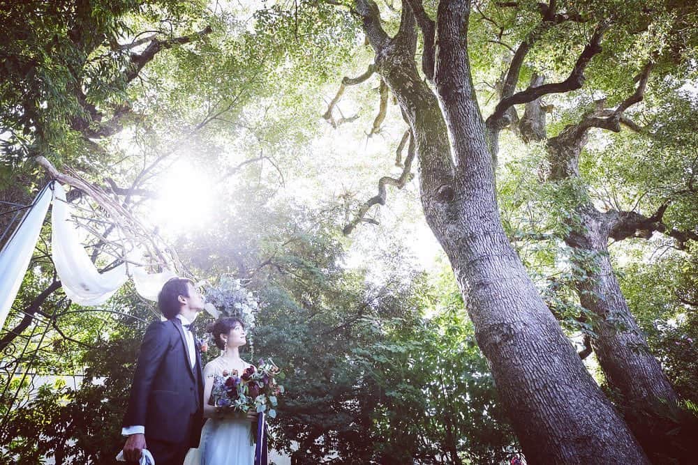 のインスタグラム：「. #ガーデン #木漏れ日 . #マノワールディノ#ブライダルフェア#一軒家 #貸切#結婚式場 #装花 #会場探し#プレ花嫁#卒花嫁#日本中のプレ花嫁さんと繋がりたい#全国のプレ花嫁さんと繋がりたい #tg花嫁 #結婚式準備 #ウェディングフォト #テイクアンドギヴニーズ #ガーデンウェディング #レストランウェディング#manoirdinno#tokyowedding#tg#weddingphoto#photoshooting#flowerdecoration #takeandgiveneeds #instabride」