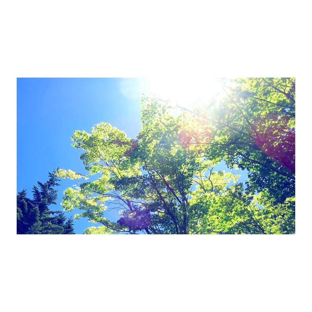 のインスタグラム：「🎐 夏がやってきた 足りないのは あなたと温度だけ」