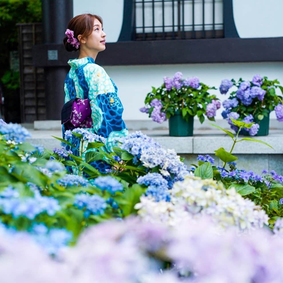 橋本聖子さんのインスタグラム写真 - (橋本聖子Instagram)「#紫陽花 💠 こちらは、#鎌倉 の #長谷寺 にて✨ . 本日は、 #WALLPAPER撮影会 ご参加下さった皆様、ありがとうございました😊💓 . 晴れ女パワーで撮影開始と共に、晴れになったよ〜っ☀️でも、撮影中に持っていたクレープをトンビに持っていかれました…まだ少ししか食べてなかったのに…絶対ゆるさな〜〜〜い😡（田中みな実さん風） . 次回、撮影会は6/27 #葛西臨海公園 です🍀 予約受付中🌟https://www.wallpaper-photo.com/product/6-27 . そして、明日は生ライブ配信よろしくです💘 #紫陽花寺 #撮影 #着物モデル」6月21日 21時20分 - _seikohashimoto