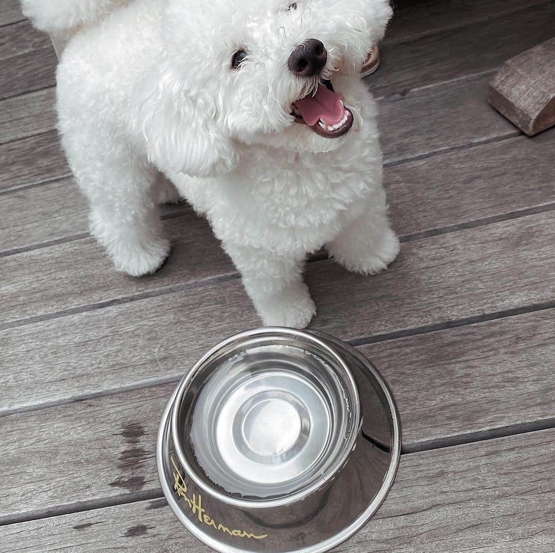 MIKI OKAMOTOのグルメインスタ