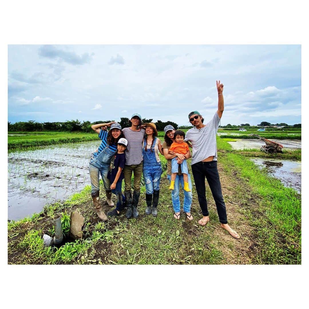 Caravanのインスタグラム：「2020.06.21.  八一農園 田植え完了。  秋の実りが楽しみだ。 #八一米日記 #夏至 #81farm_organic」