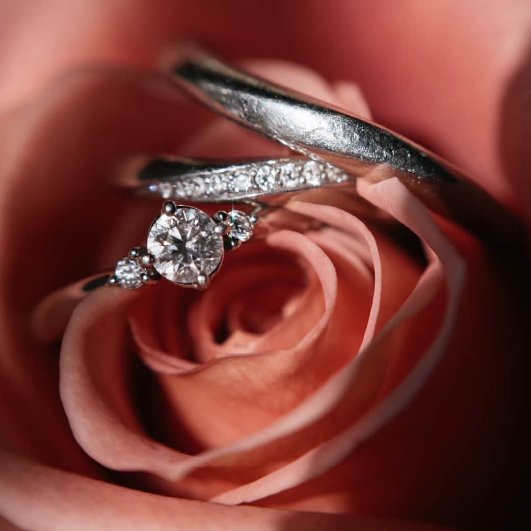 Villas des mariages TAKASAKIさんのインスタグラム写真 - (Villas des mariages TAKASAKIInstagram)「・ 大切な指輪を写真に残すのも素敵です💍 お気に入りのブーケに乗せて💐 いつまでも気持ちを思い出せるようなお写真を残して行きましょう☆*:. ・ #結婚指輪  #指輪  #ばら  #花束  #ブーケ  #結婚式コーデ  #前撮り  #ヘアメイク  #結婚式場  #思い出  #写真好きな人と繋がりたい  #マリッジリング  #エンゲージリング」6月21日 21時58分 - villas_des_mariages_takasaki