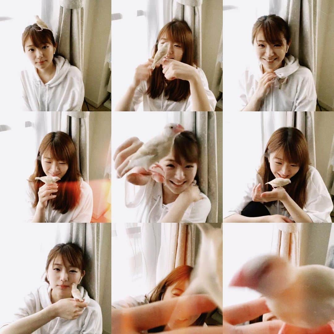 長谷川かすみのインスタグラム：「マヨさんはとても元気です！ *thanks* @ryuseinara  #zoom撮影 #文鳥との暮らし #マヨさんと私」