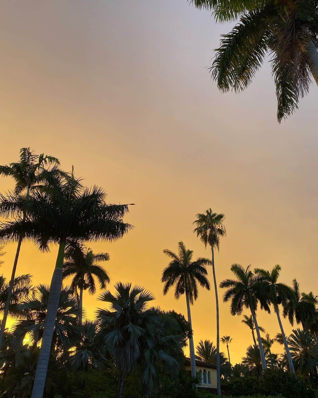 Rodner Figueroaさんのインスタグラム写真 - (Rodner FigueroaInstagram)「Saharan dust!!! 🌄 Polvo del Sahara!!! Increíble el atardecer de Miami Beach gracias al #polvodelsahara #saharandust #miamibeach #sunset」6月22日 9時27分 - rodnerfigueroa