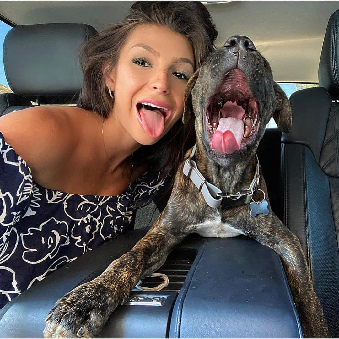 Kelly Clelandさんのインスタグラム写真 - (Kelly ClelandInstagram)「Dog days of Summer 🐾 I hope you had a wonderful weekend!! #puppylove #summer #brindle #mix #canecorso #pitbull #wehavefun #bestfriends #thenewguy #gettingbig #sendinglove」6月22日 9時45分 - kellyacleland4