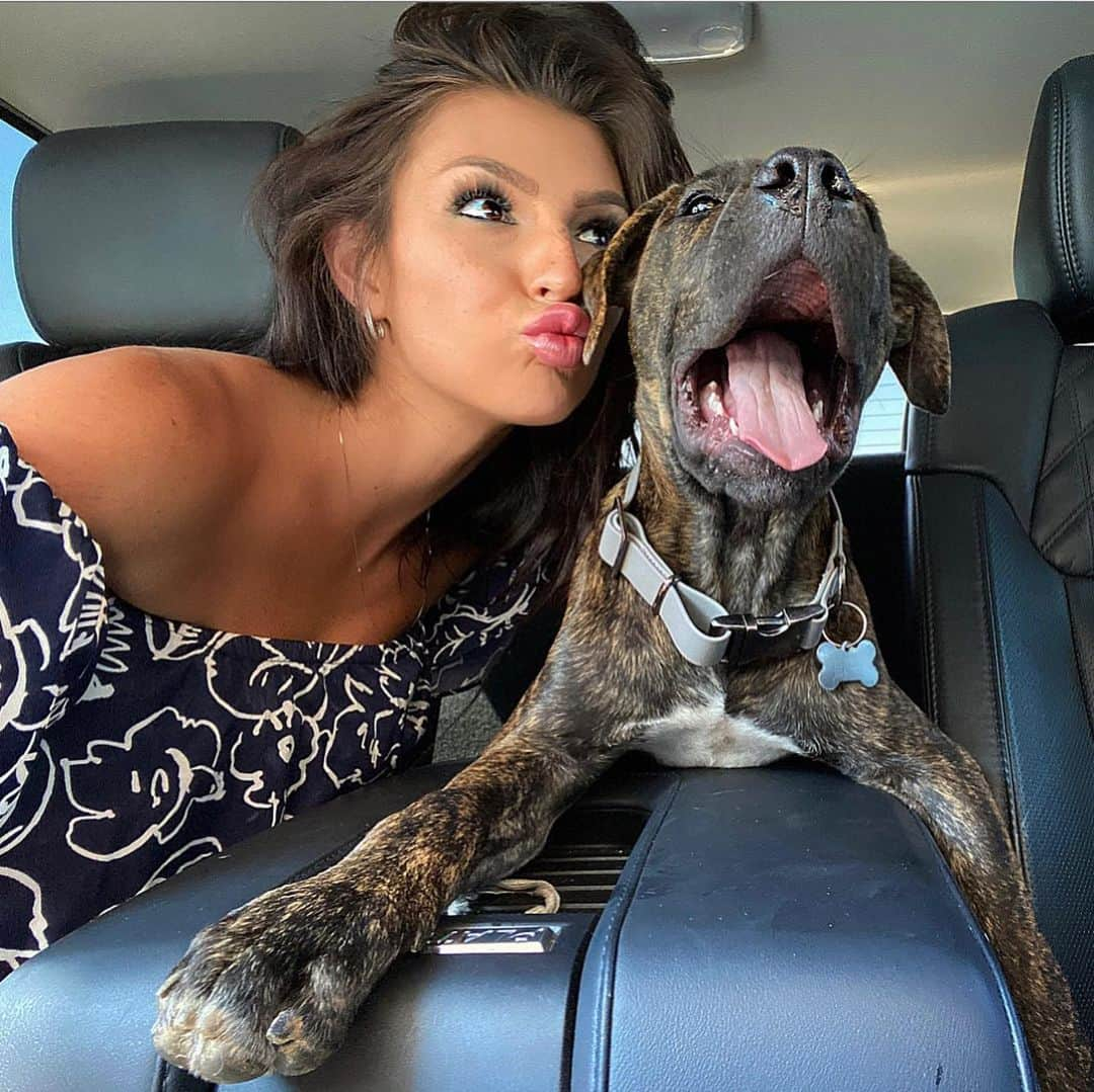 Kelly Clelandさんのインスタグラム写真 - (Kelly ClelandInstagram)「Dog days of Summer 🐾 I hope you had a wonderful weekend!! #puppylove #summer #brindle #mix #canecorso #pitbull #wehavefun #bestfriends #thenewguy #gettingbig #sendinglove」6月22日 9時45分 - kellyacleland4