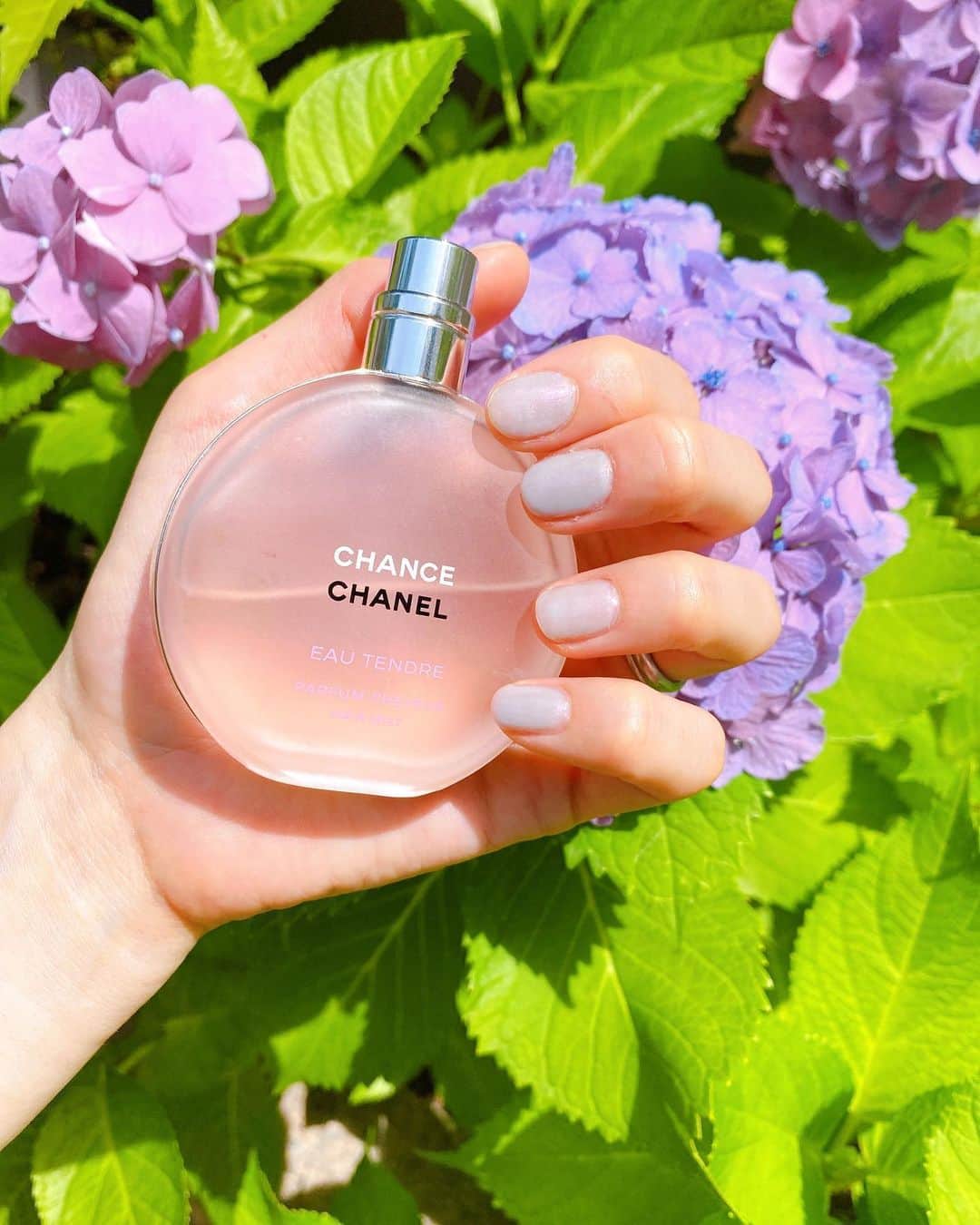 まんまるとまとのグルメインスタ