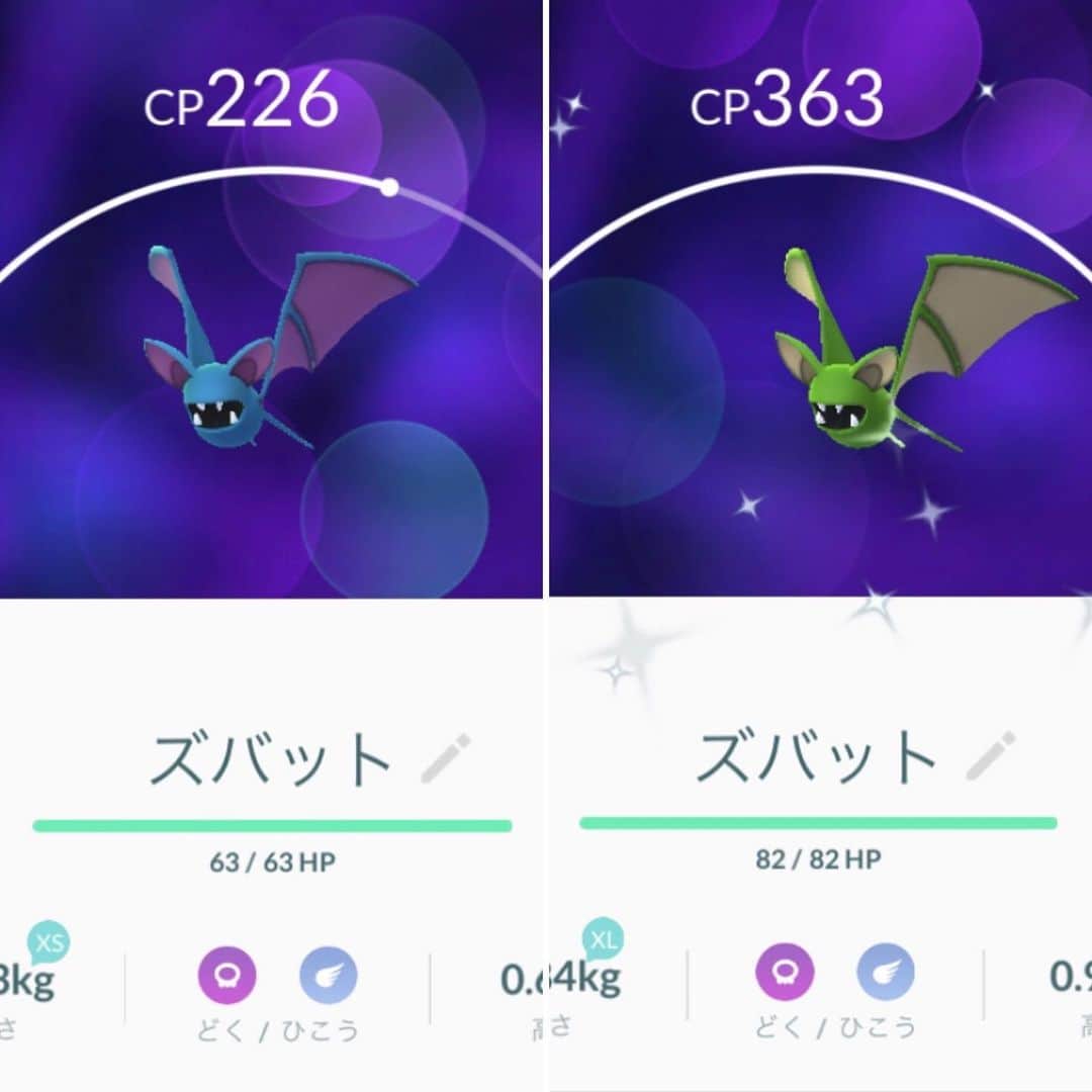 睦のインスタグラム：「おおっ、 ズバットの色違い ゲーーット🤩  どんな ゴルバットに 進化するのかなぁ。  #ポケモン  #ゴルバット　 #ポケモンゴー  #ポケモンgo  #pokemon  #pokemongo  #ポケモンゴー散歩　 #ポケモンgo散歩　 #色違い  #pikachu  #ピカチュー  #相棒  #パートナー　 #partner  #zubat  #ズバット　 #ポケットモンスター　 #differentcolors  #pocketmonsters  #名探偵ピカチュウ  #PokémonDetectivePikachu  #ピカチュウ  #nintendo  #ssw  #singersongwriter  #artist  #lyricist  #singer  #井上睦都実 #睦」