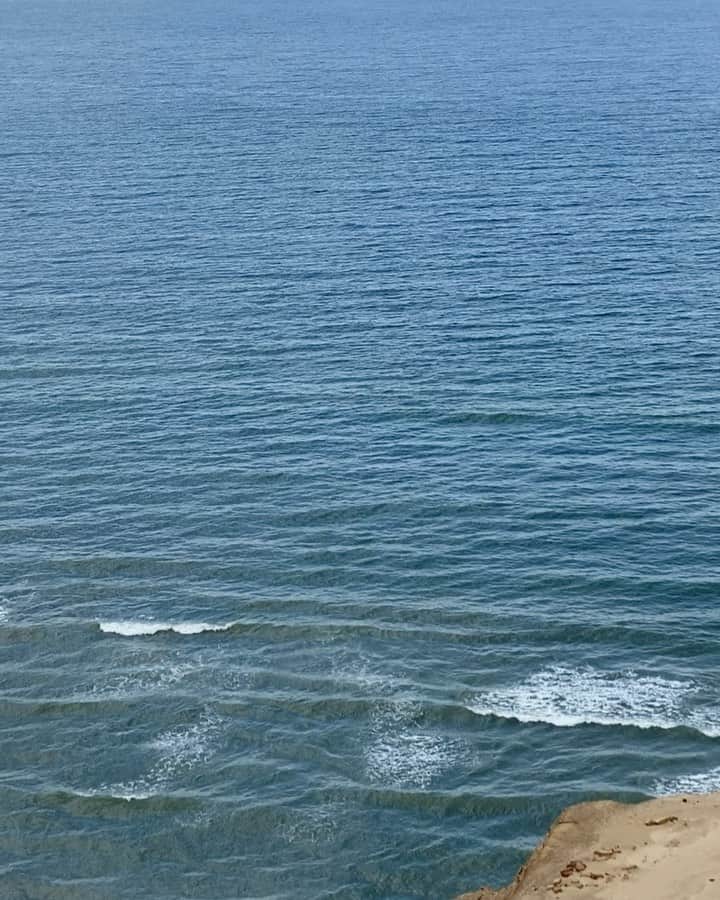 Mathilde Goehlerのインスタグラム：「By the sea, where I grew up 🤍」