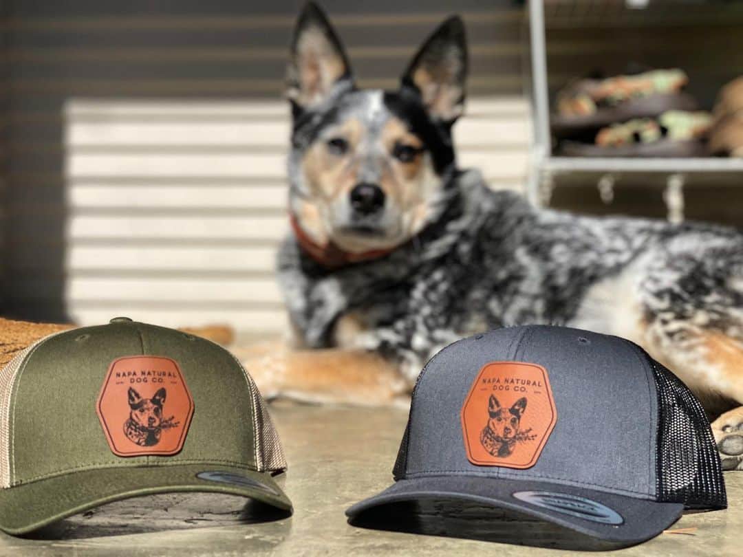 Dogs by Ginaのインスタグラム：「Richardson snapbacks are finally in! Authentic leather patch with our beautiful logo. They come in Moss/Khaki and Charcoal/ Black. Just in time for dad! 🐾」