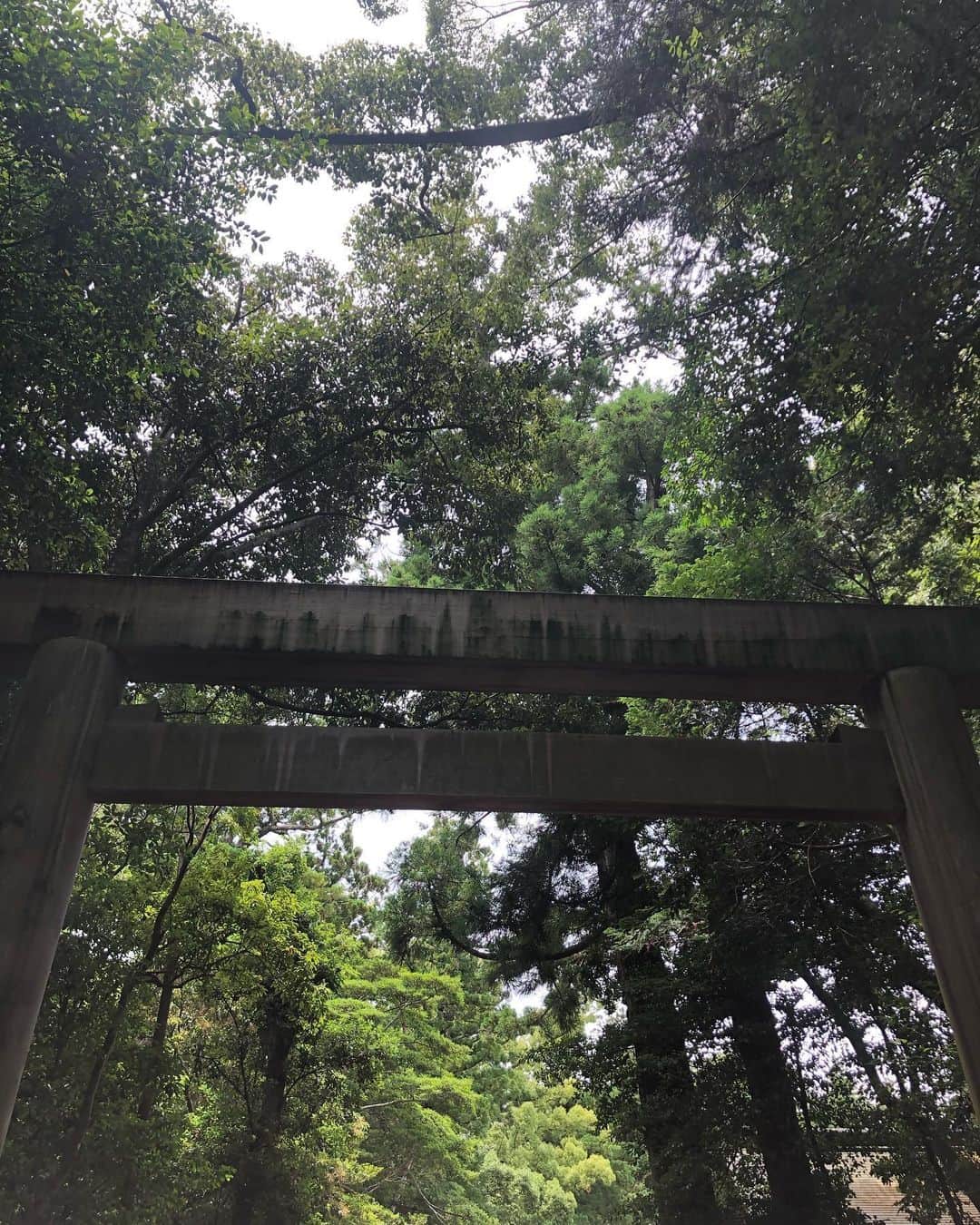 Fujikoさんのインスタグラム写真 - (FujikoInstagram)「🌱🌱🌱🌾🌾🌾 先日、母とプチ旅へ行ったよ✨ 丁度県またぎの解除もでた日で #伊勢神宮 に行ってきました😆✨ 最近、ずっと神社に行きたくて、一人で行こうとしてたけど、 母と行くことになって嬉しかった✨✨ 多分、私めちゃくちゃ神社好きや⛩✨✨ 伊勢神宮は、日本の全ての神様が集まる神社なんだってね🥺✳︎ 友達いわく、この神社には、 呼ばれた人しか行けない神社らしい。 私がこの木に触ってる向こう側に小さい鳥居があって、そこには神様の領土で、めっちゃ広いのに、小さい鳥居がポツンとあるその景色は、 それはそれは、なんていうか、言葉にできないオーラがあった。 外宮の方かな？ とても神秘的でした。 久しぶりの旅で楽しかった🌝✨ 母とこんなに沢山過ごしたのも何年ぶりや。笑 たまには親子で過ごすのもいいね👸🏻💓 それでは、今週も頑張ってこう🥺✨✨😆 . . #Fujiko#伊勢神宮#神社#神社好きな人と繋がりたい #日本人#神社巡り #三重県#伊勢神宮おかげ横丁 #パールアクセ🦪#松坂牛 #食べた💓」6月22日 2時48分 - fujikochan1023