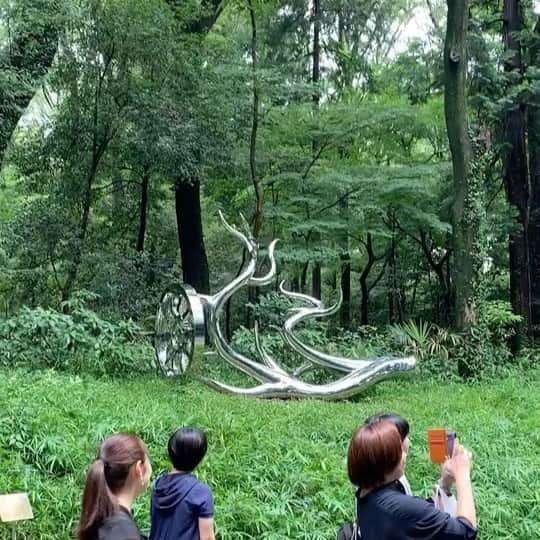 松山智一のインスタグラム：「Summer overgrown ☘️🌿🌱giving more serenity at Meiji Shrine, just as how I imagined the contrast to turn out.  明治神宮で生い茂る緑とのコントラストが良き時期になってきた。 #MeijiShrine #tomokazumatsuyama」