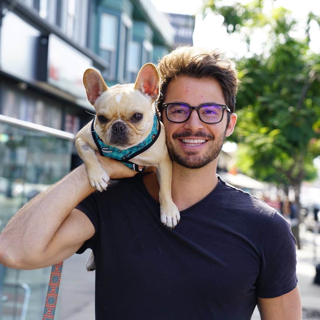 Regeneratti&Oliveira Kennelさんのインスタグラム写真 - (Regeneratti&Oliveira KennelInstagram)「Well done Dad, I’m awesome! 😜Happy Father’s Day to all the dog Dad’s out there!🐾 @frenchieleo . .🎁 Get 10% off with code jmarcoz10 🐾 . . SHOP your favorites only at www.frenchie.com 🇺🇸 . . #frenchiepetsupply #frenchiesofinsta #pugsofinsta #frenchbulldog #frenchiesofinstagram #pug #frenchies #reversibleharness #frenchiehoodie #thedodo #frenchieharness #dogclothes #dogharness #frenchiegram #dogsbeingbasic #frenchieoftheday #instafrenchie #bulldogs #dogstagram #frenchievideo #cutepetclub #bestwoof #frenchies1 #ruffpost #bostonterrier we #bostonsofig #animalonearth #dog #dogs」6月22日 3時26分 - jmarcoz