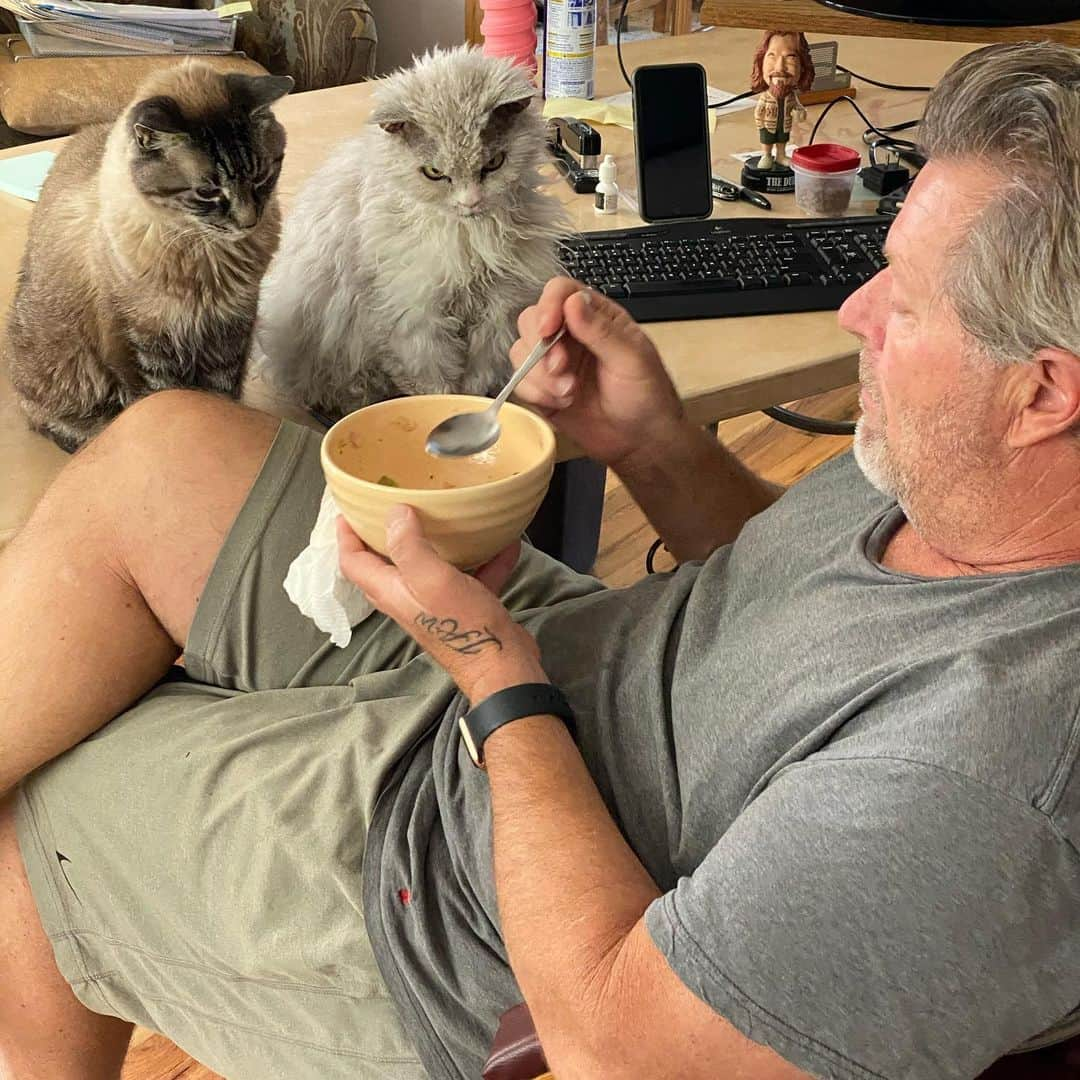 アルベルトさんのインスタグラム写真 - (アルベルトInstagram)「Happy Father’s Day to my Kitty Daddy #pompousalbert」6月22日 4時00分 - pompous.albert