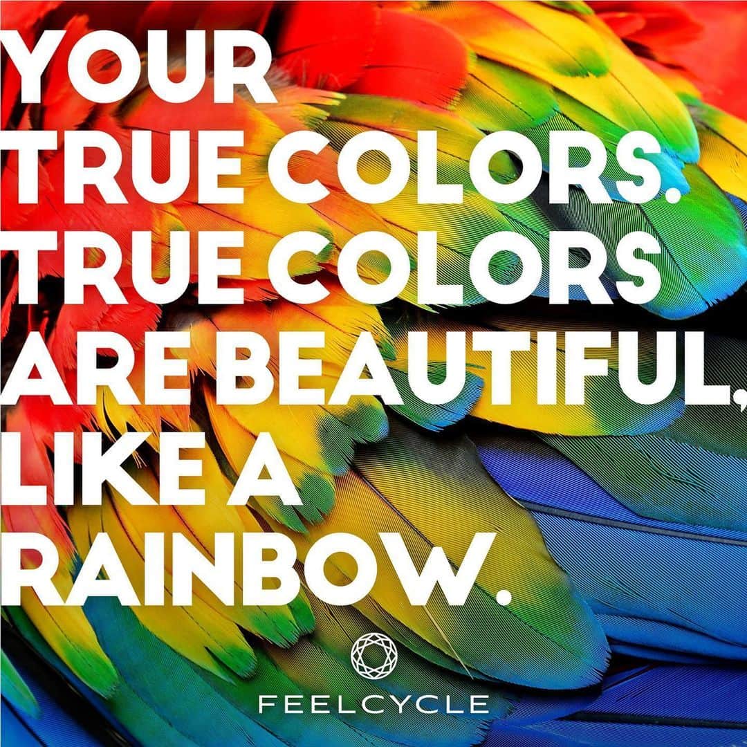 FEELCYCLE (フィールサイクル) さんのインスタグラム写真 - (FEELCYCLE (フィールサイクル) Instagram)「. Your true colors. True colors are beautiful, like a rainbow. . -あなたの本当の色。本当の色は虹のように美しい。- . #feelcycle #フィールサイクル #feel #cycle #morebrilliant #itsstyle #notfitness #暗闇フィットネス #バイクエクササイズ #フィットネス #ジム #45分で約800kcal消費 #滝汗 #ダイエット #デトックス #美肌 #美脚 #腹筋 #ストレス解消 #リラックス #集中 #マインドフルネス #音楽とひとつになる #格言 #名言 #人生 #輝く #ポジティブ #CyndiLauper #birthday」6月22日 4時25分 - feelcycle_official