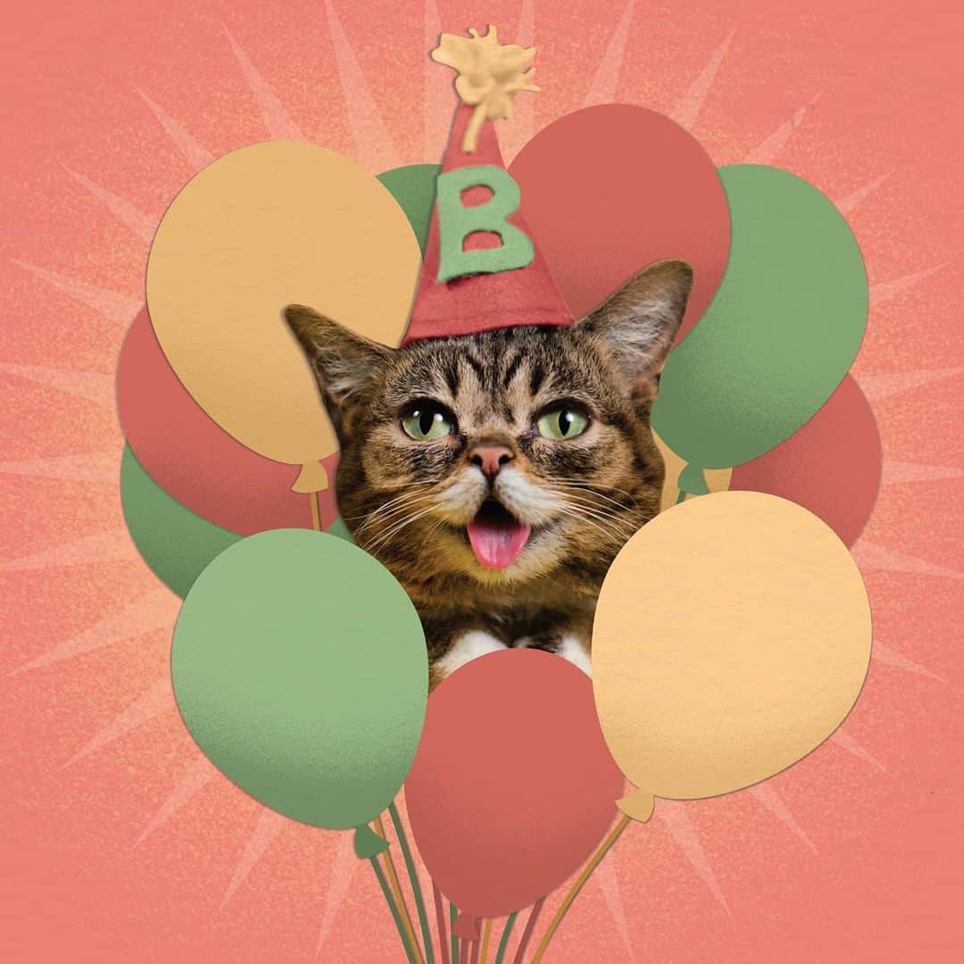 Lil BUBさんのインスタグラム写真 - (Lil BUBInstagram)「Happy 9th birthday way up in space, BUB. #bestjobbub #bubforever #lilbub」6月22日 10時18分 - iamlilbub