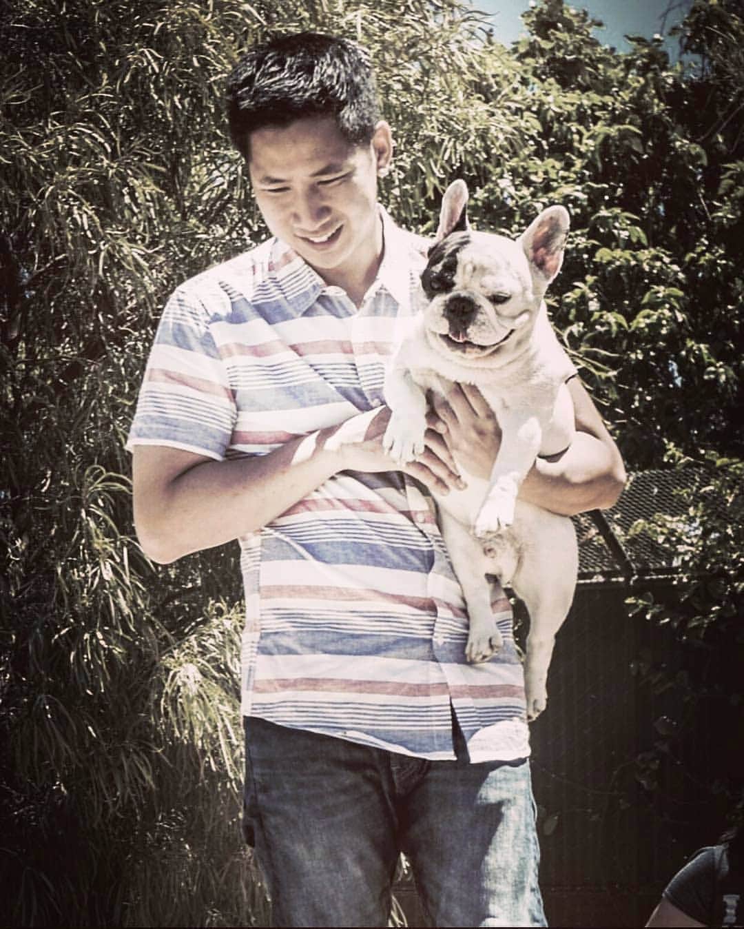 Manny The Frenchieのインスタグラム：「Happy Father's day to all the pawsome dog Dads! ❤️」