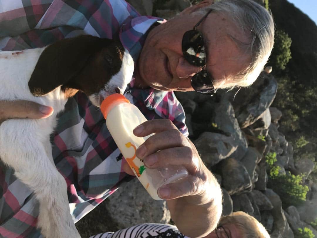 ケヴィン・マクキッドさんのインスタグラム写真 - (ケヴィン・マクキッドInstagram)「Obligatory pic of dad feeding a baby goat - a kid to be exact ;)) the OG and best McKidd of them all - I love you dad happy Father's Day xxx」6月22日 5時15分 - therealkmckidd